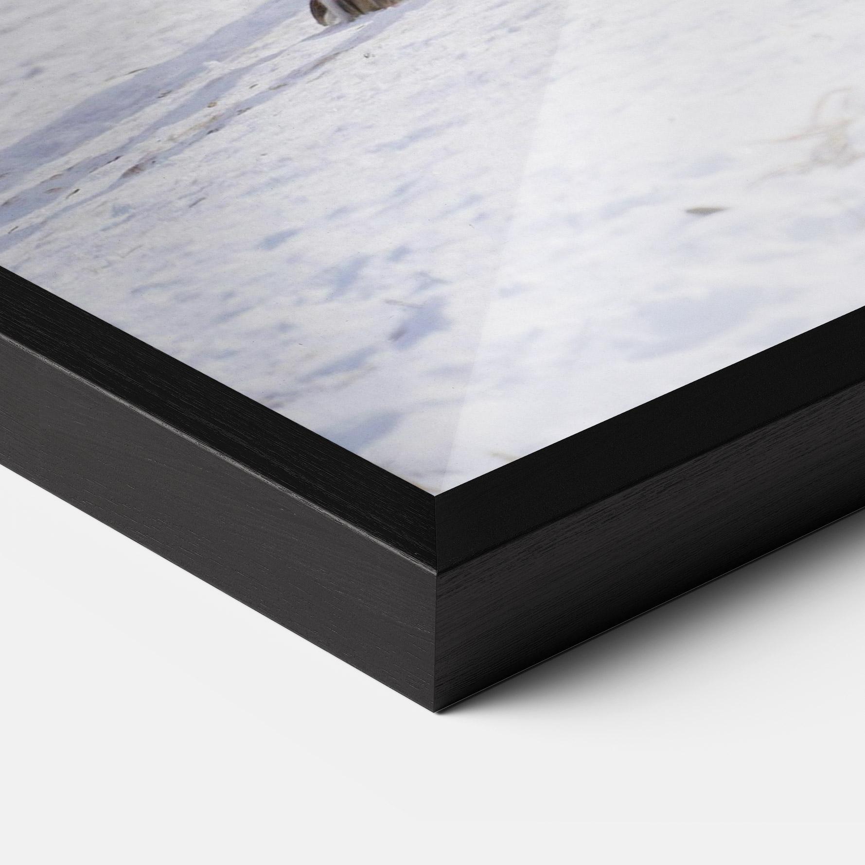 Poster Înrămat Beautiful White Wolf mockup 3