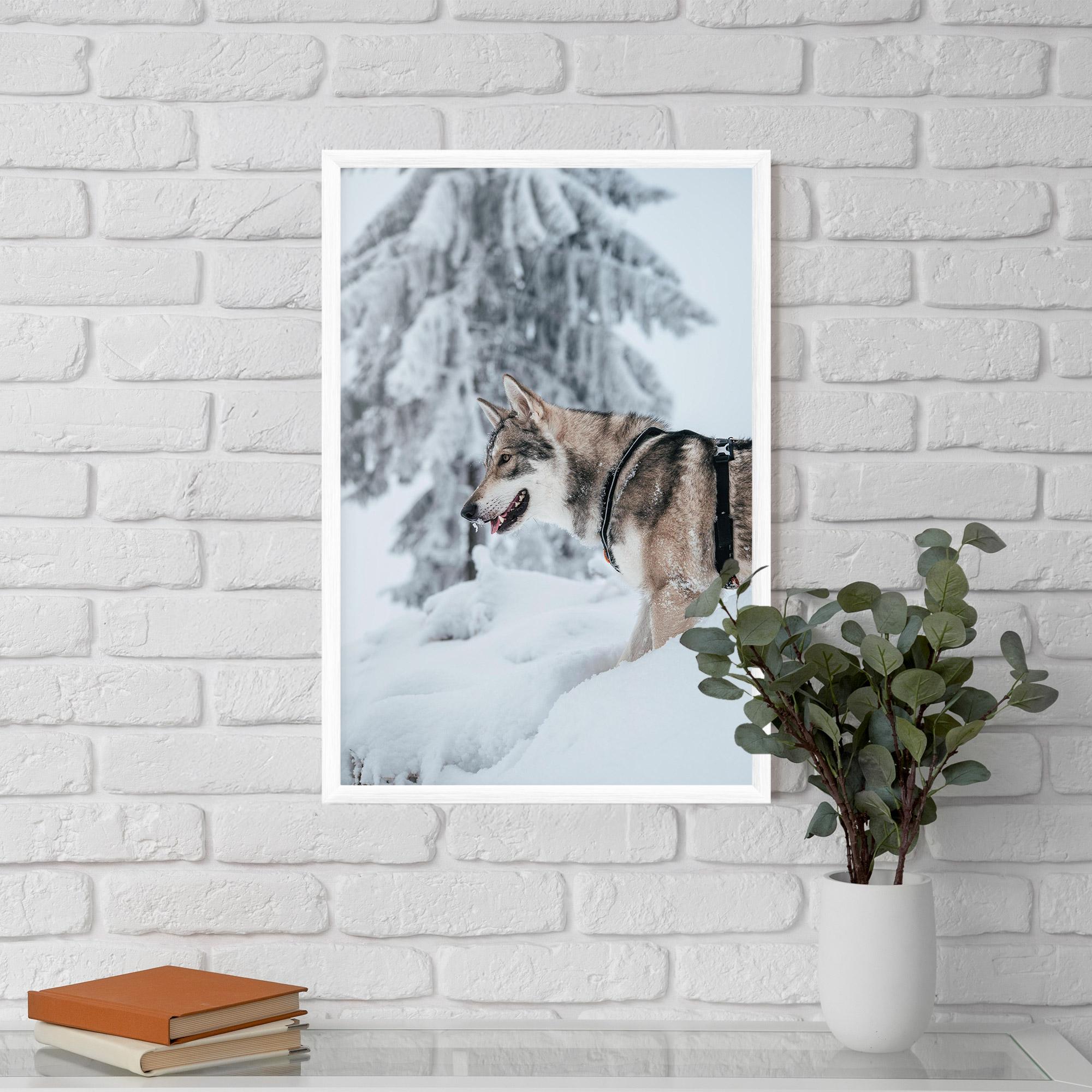 Poster Înrămat Snow Wolf mockup 5