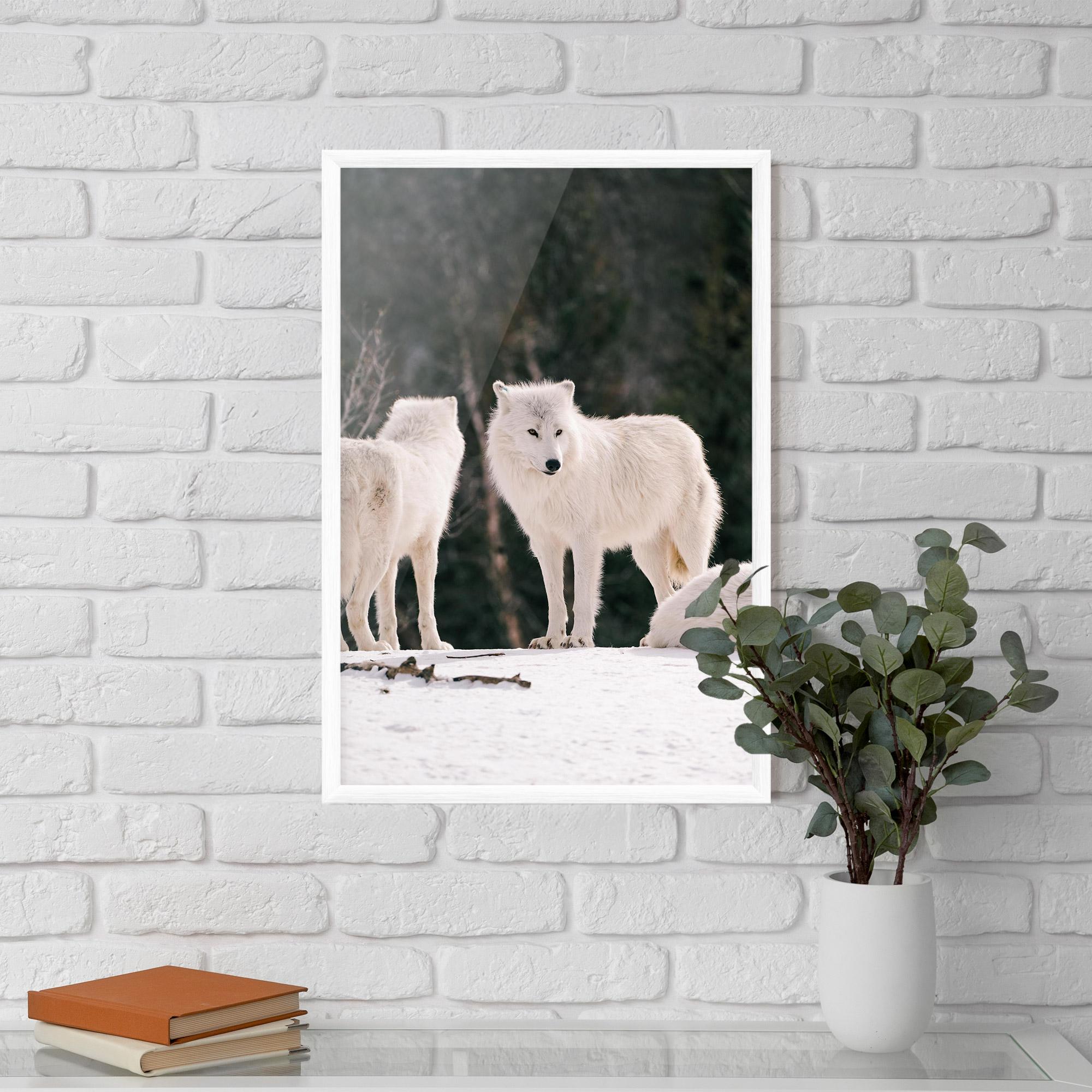 Poster Înrămat White Wolf Waiting mockup 5
