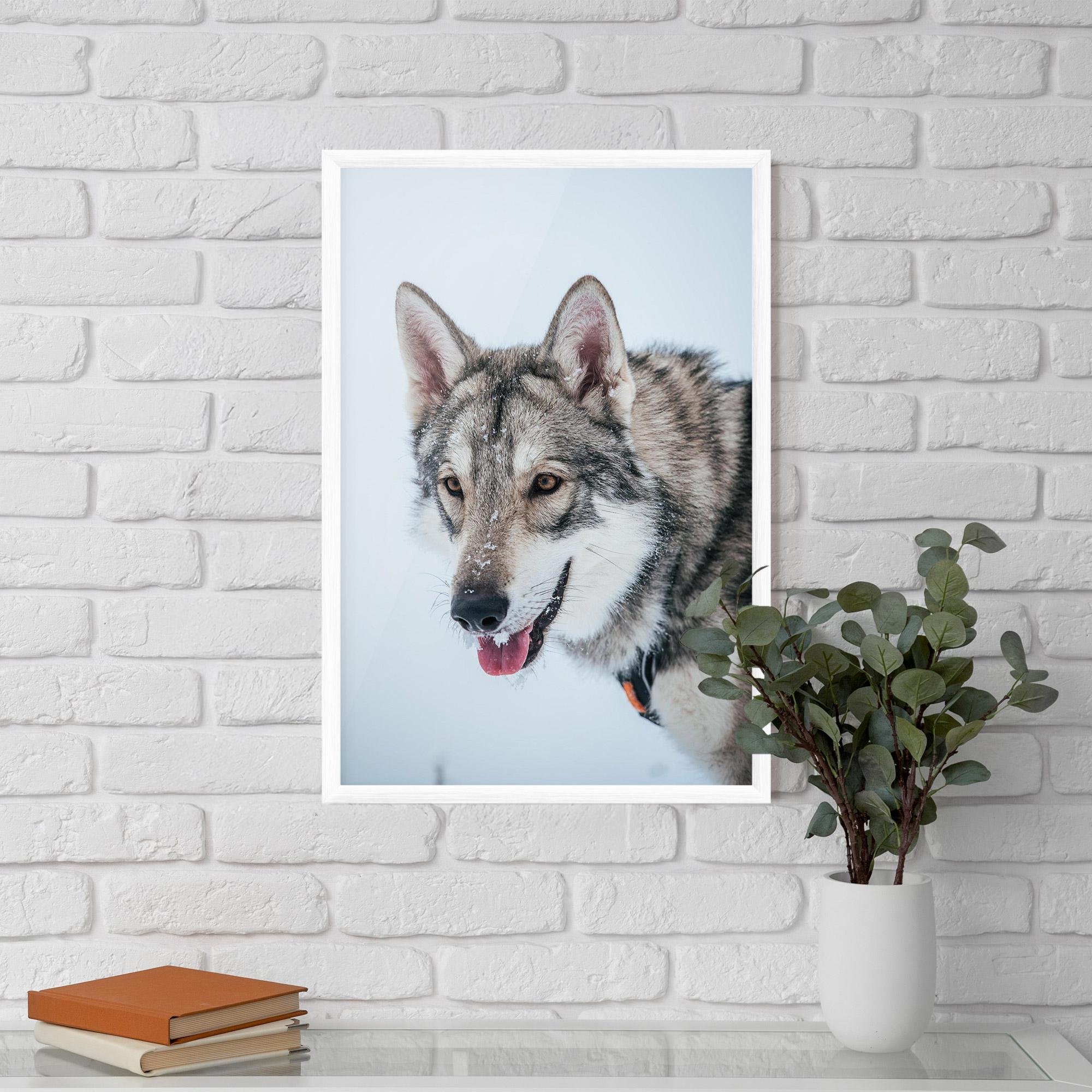 Poster Înrămat Wolf Head mockup 5