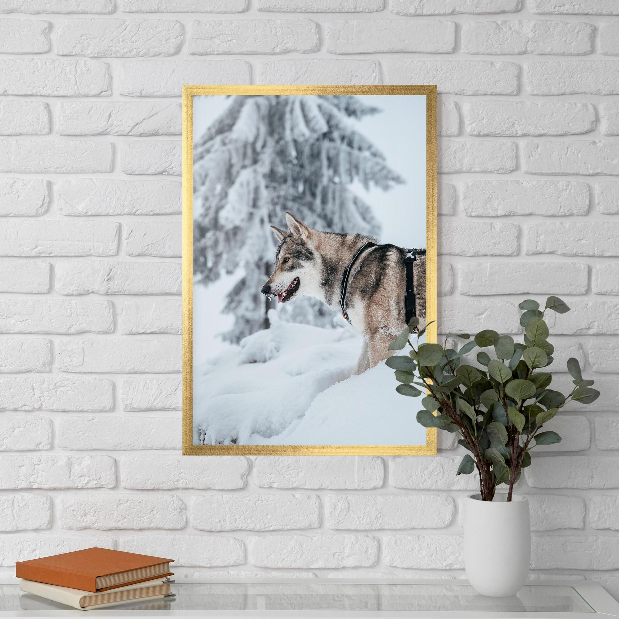 Poster Înrămat Snow Wolf mockup 5