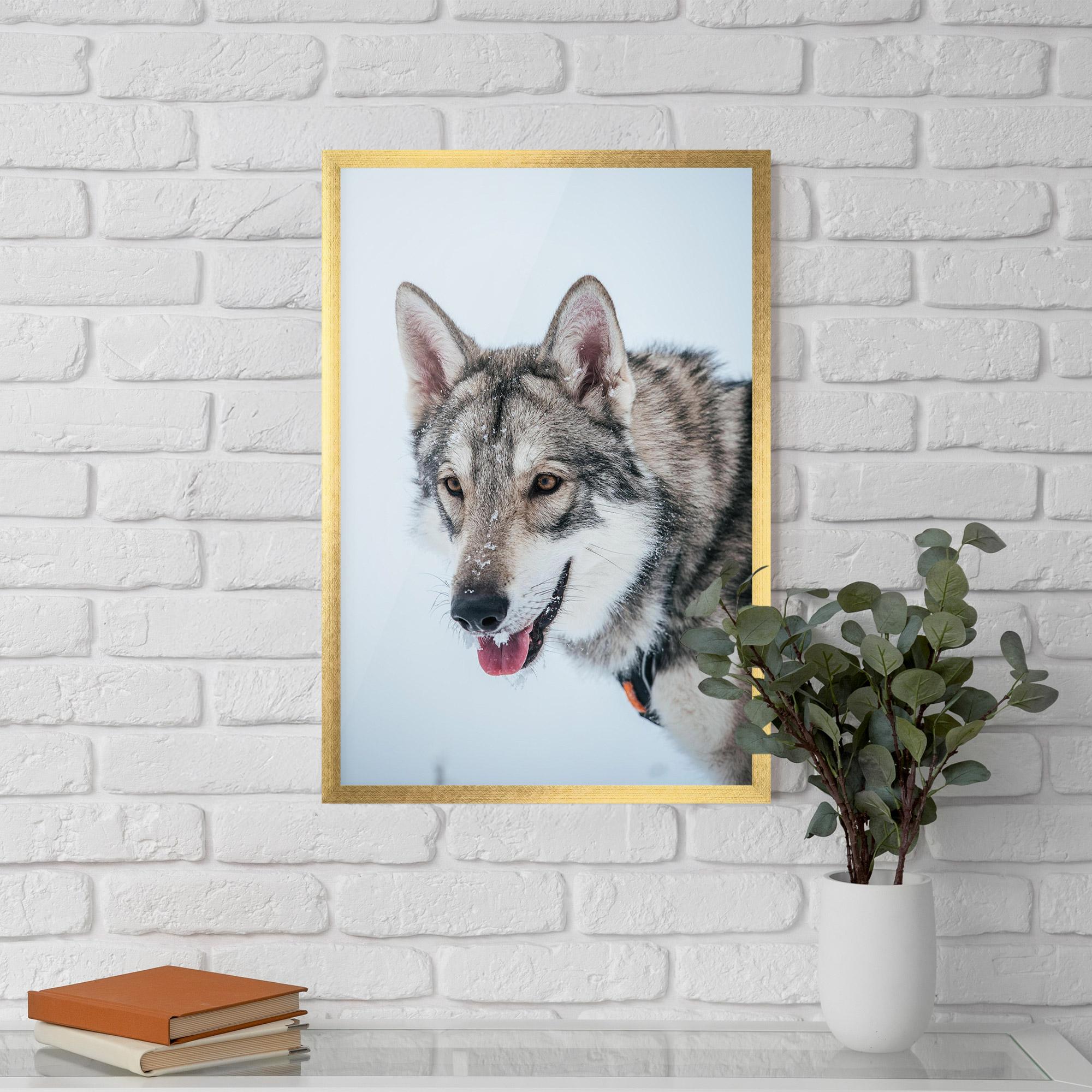 Poster Înrămat Wolf Head mockup 5