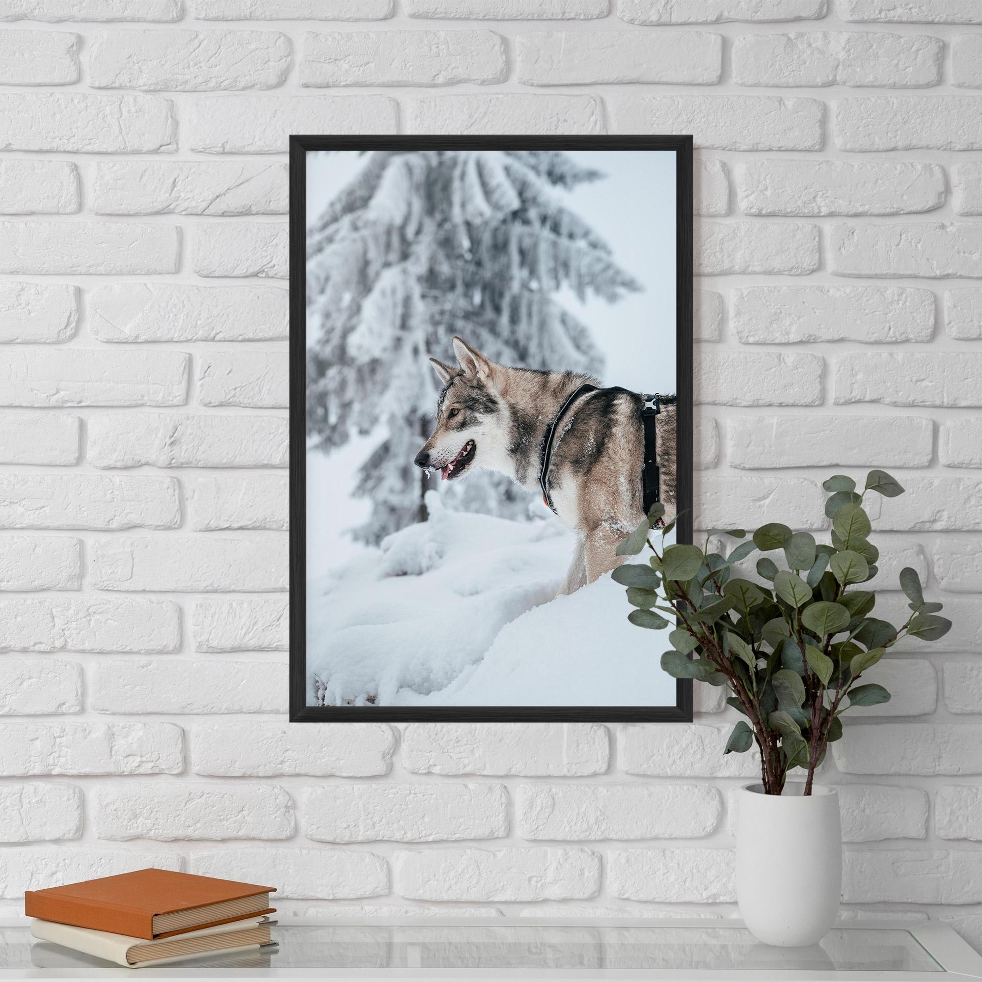 Poster Înrămat Snow Wolf mockup 5