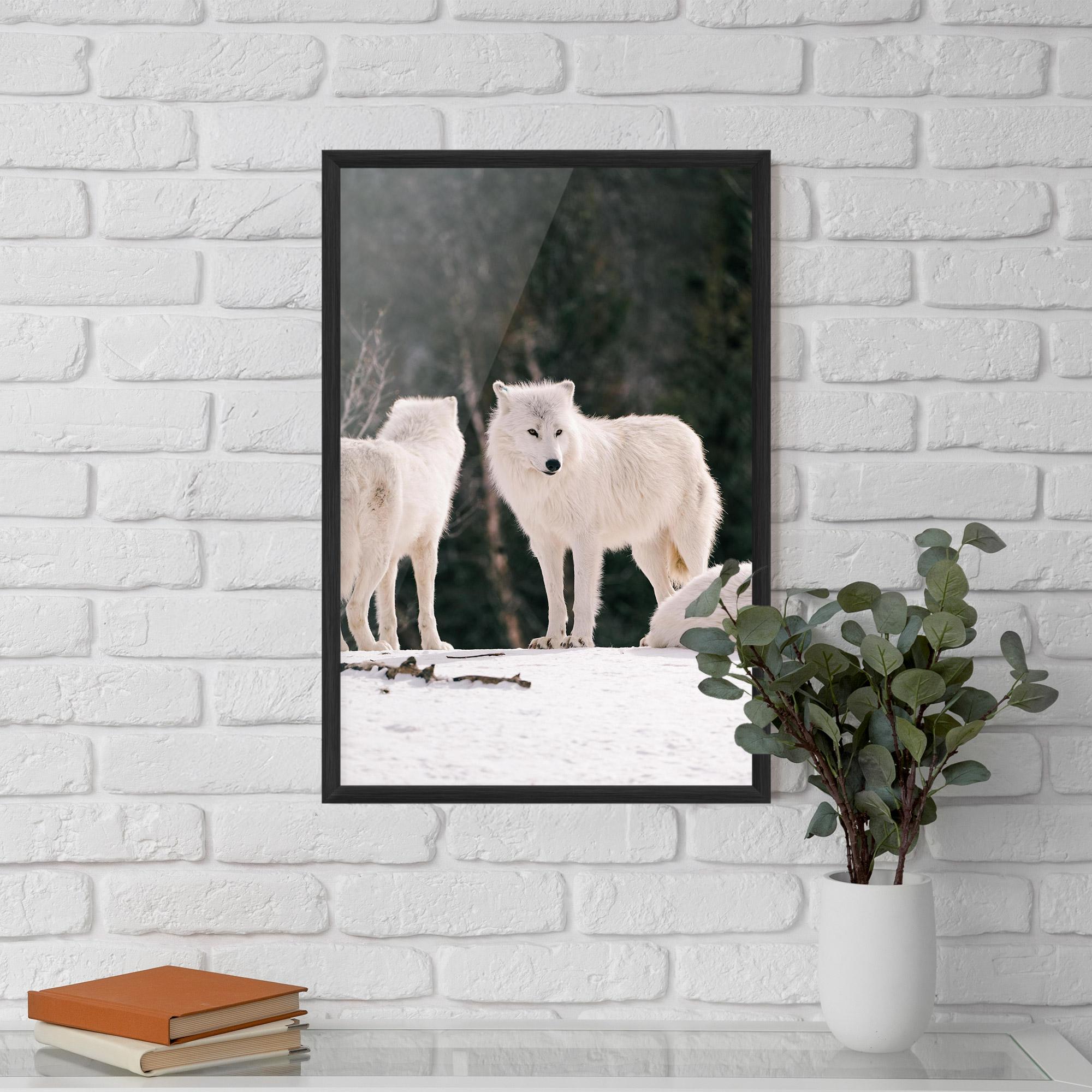 Poster Înrămat White Wolf Waiting mockup 5