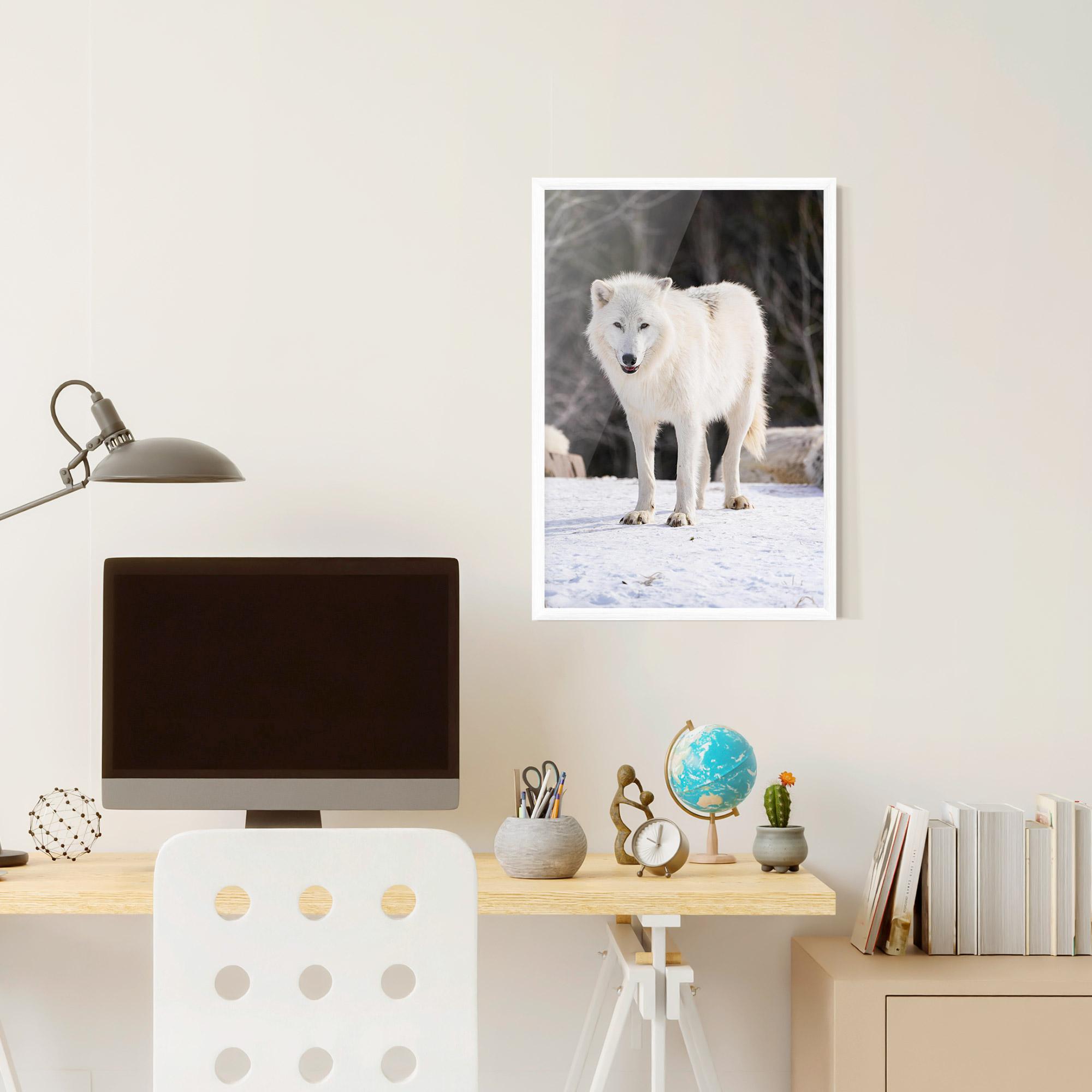 Poster Înrămat Beautiful White Wolf mockup 6