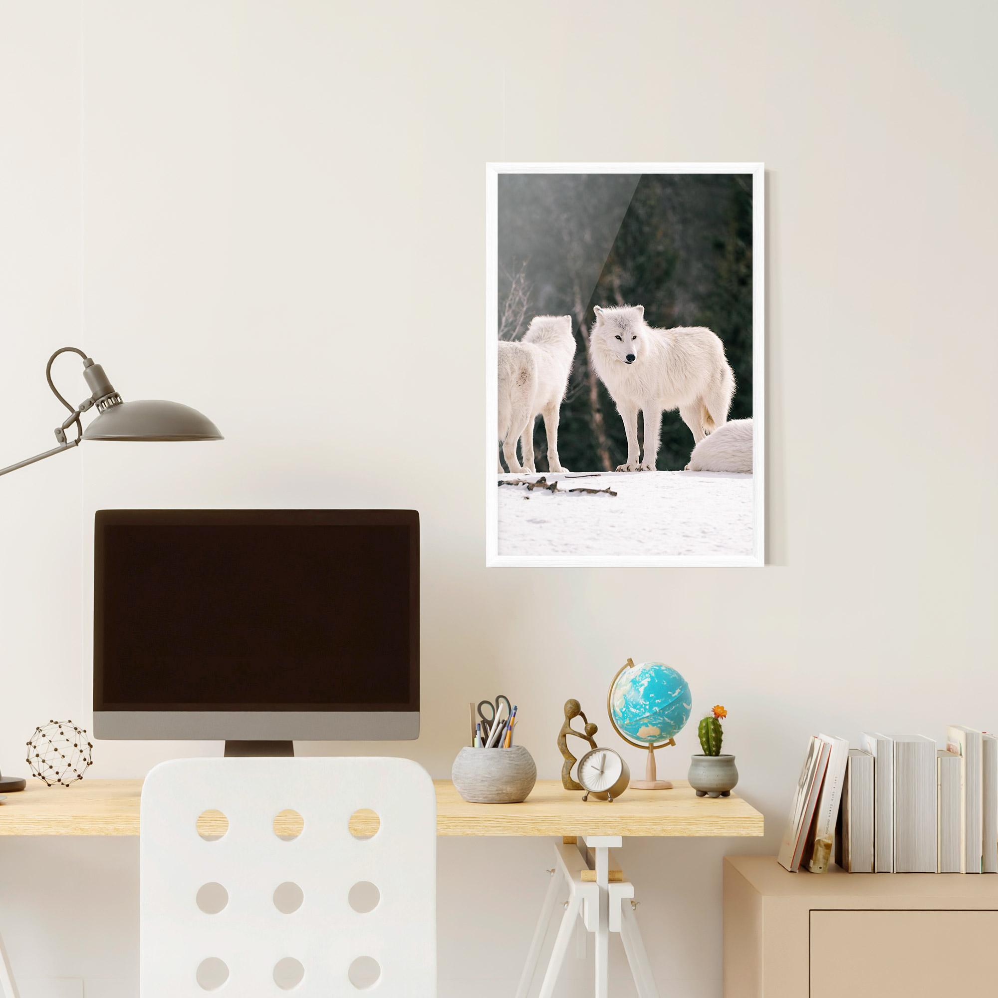 Poster Înrămat White Wolf Waiting mockup 6