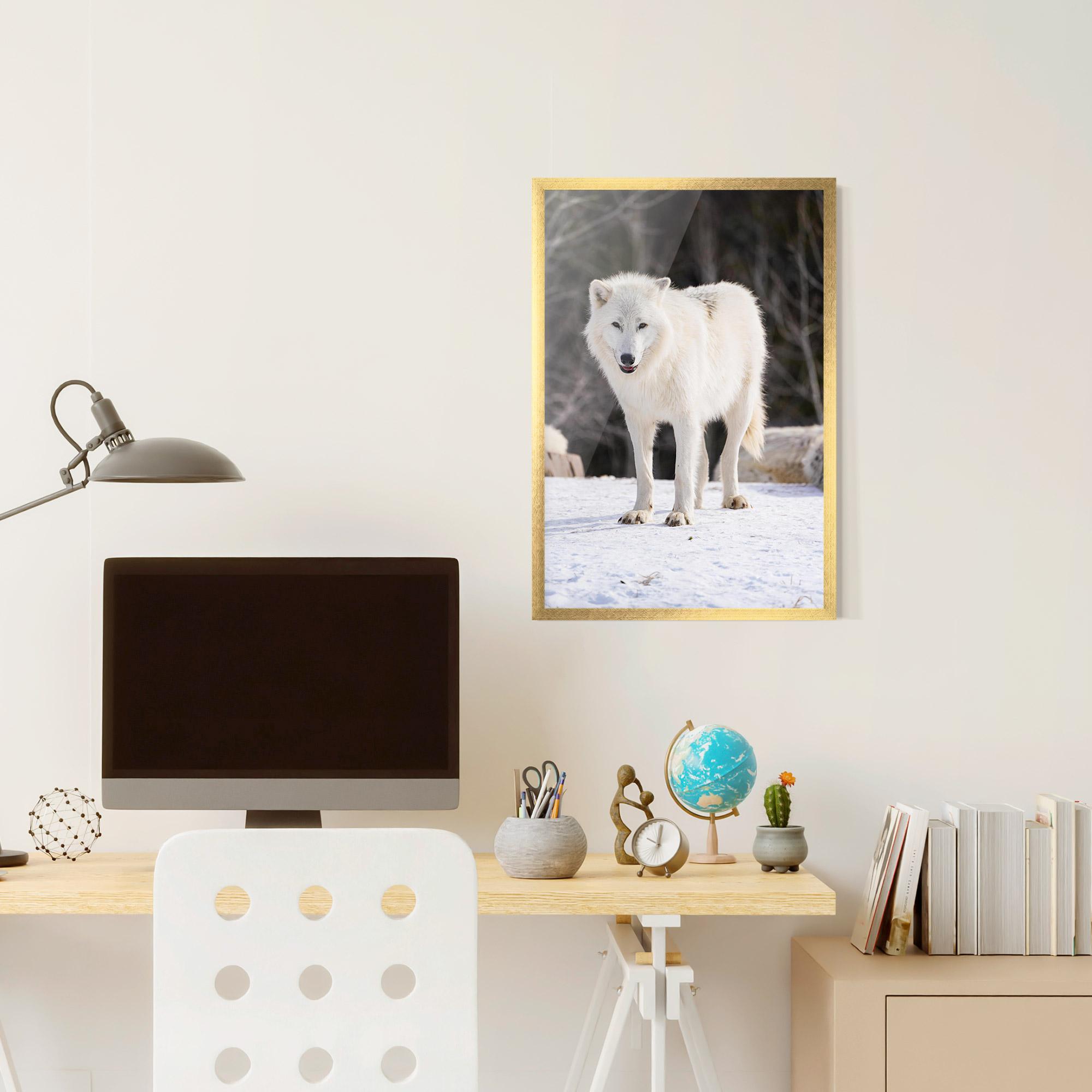 Poster Înrămat Beautiful White Wolf mockup 6