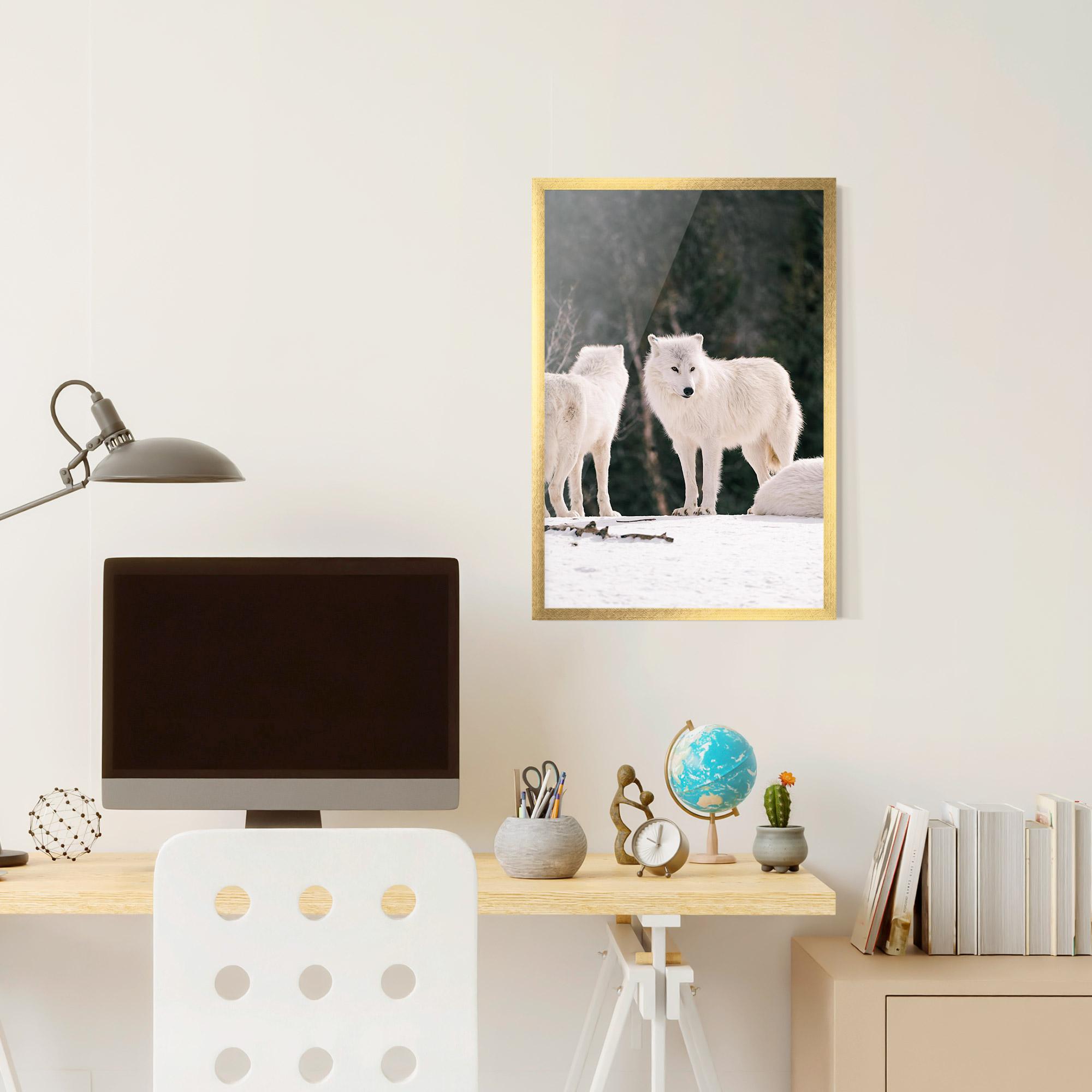 Poster Înrămat White Wolf Waiting mockup 6