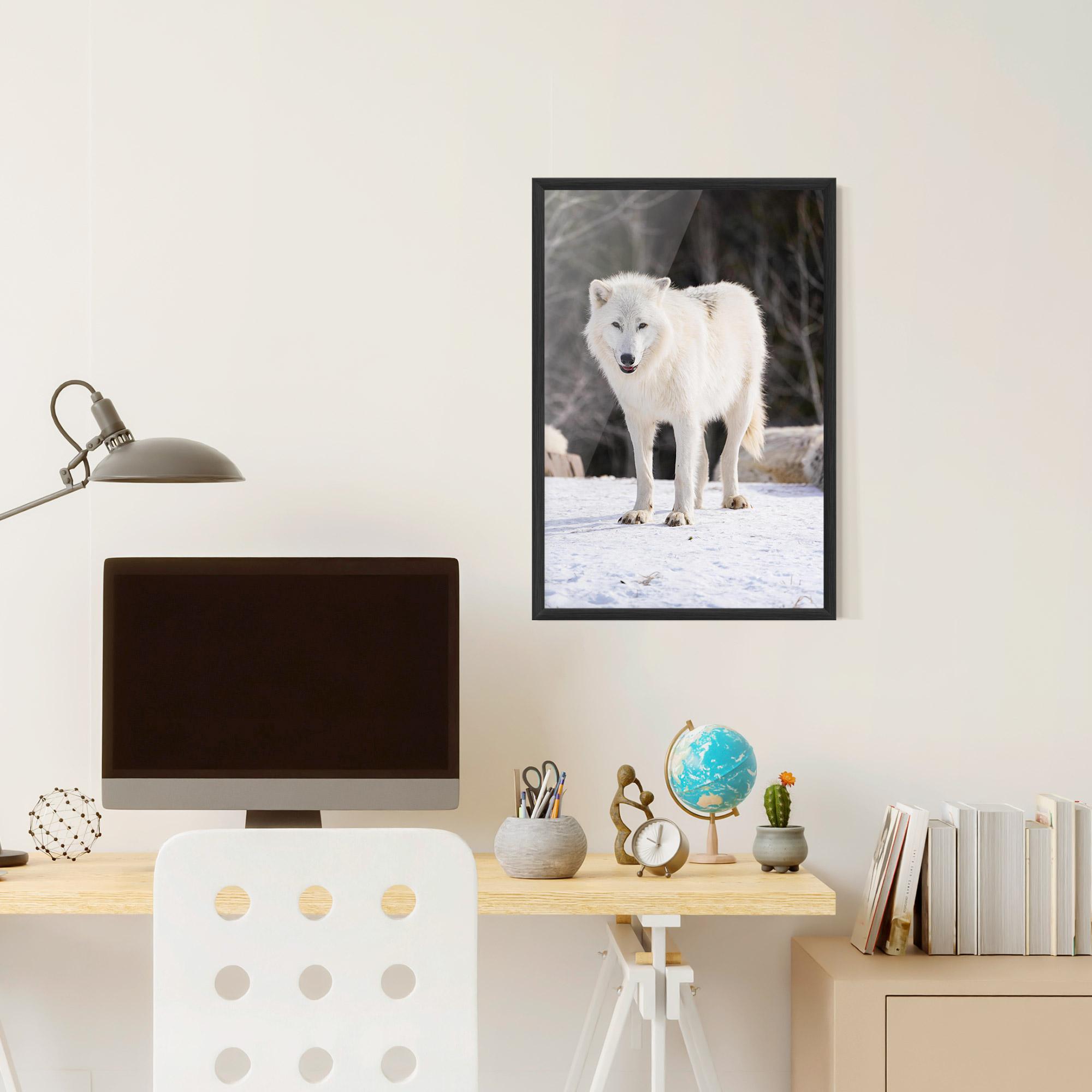 Poster Înrămat Beautiful White Wolf mockup 6