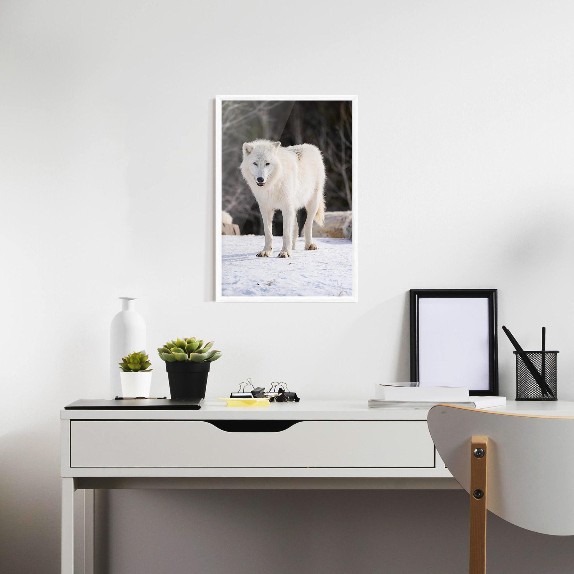 Poster Înrămat Beautiful White Wolf mockup 7
