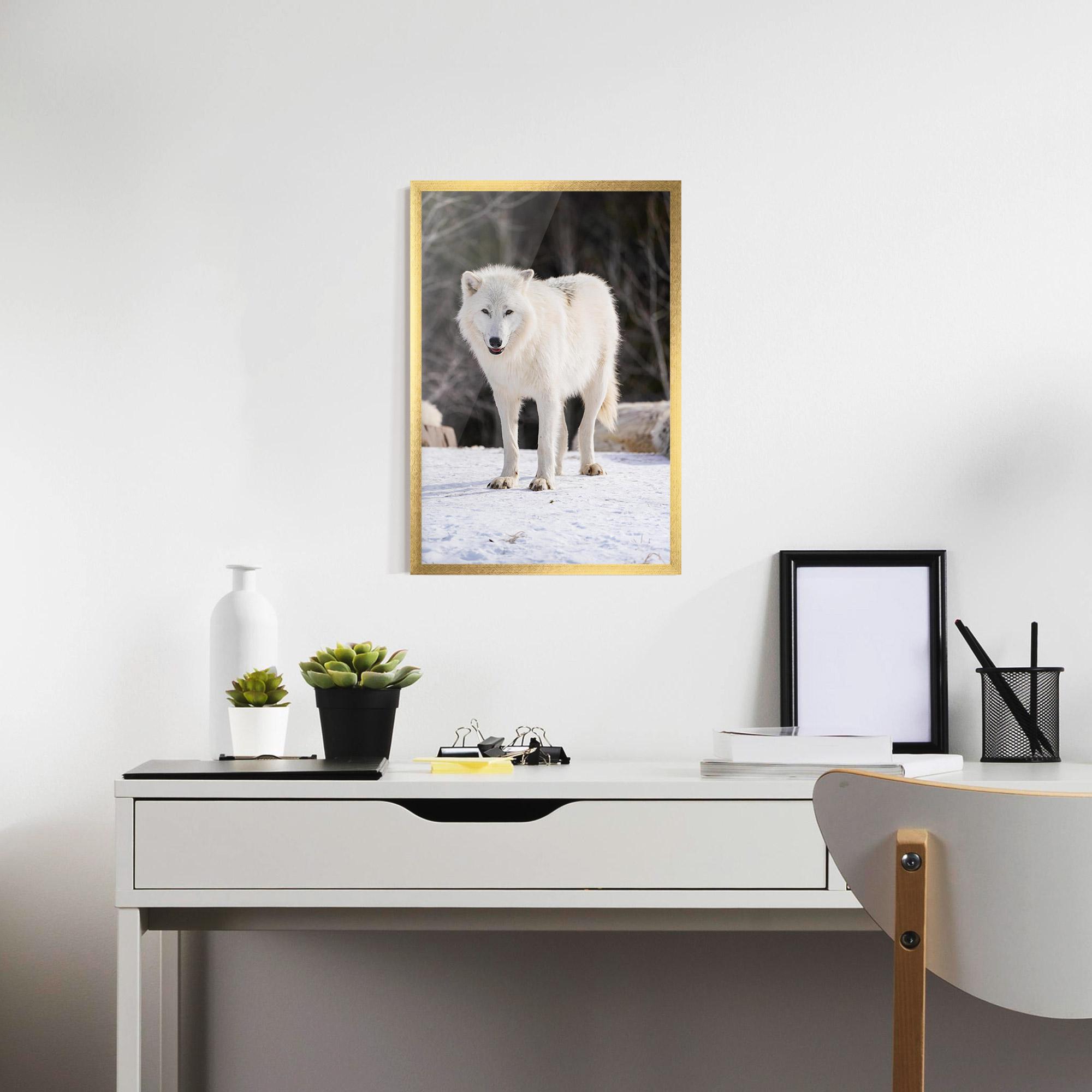 Poster Înrămat Beautiful White Wolf mockup 7