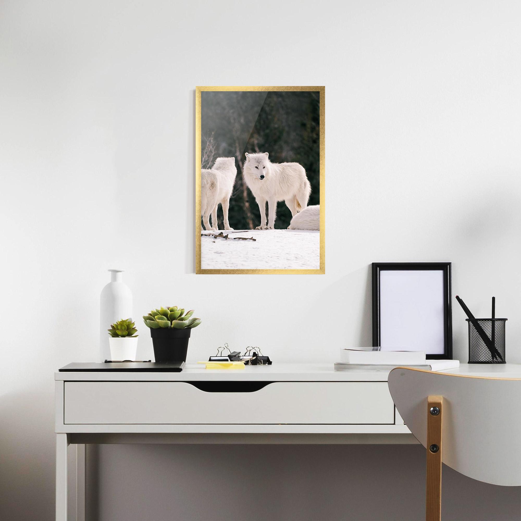 Poster Înrămat White Wolf Waiting mockup 7