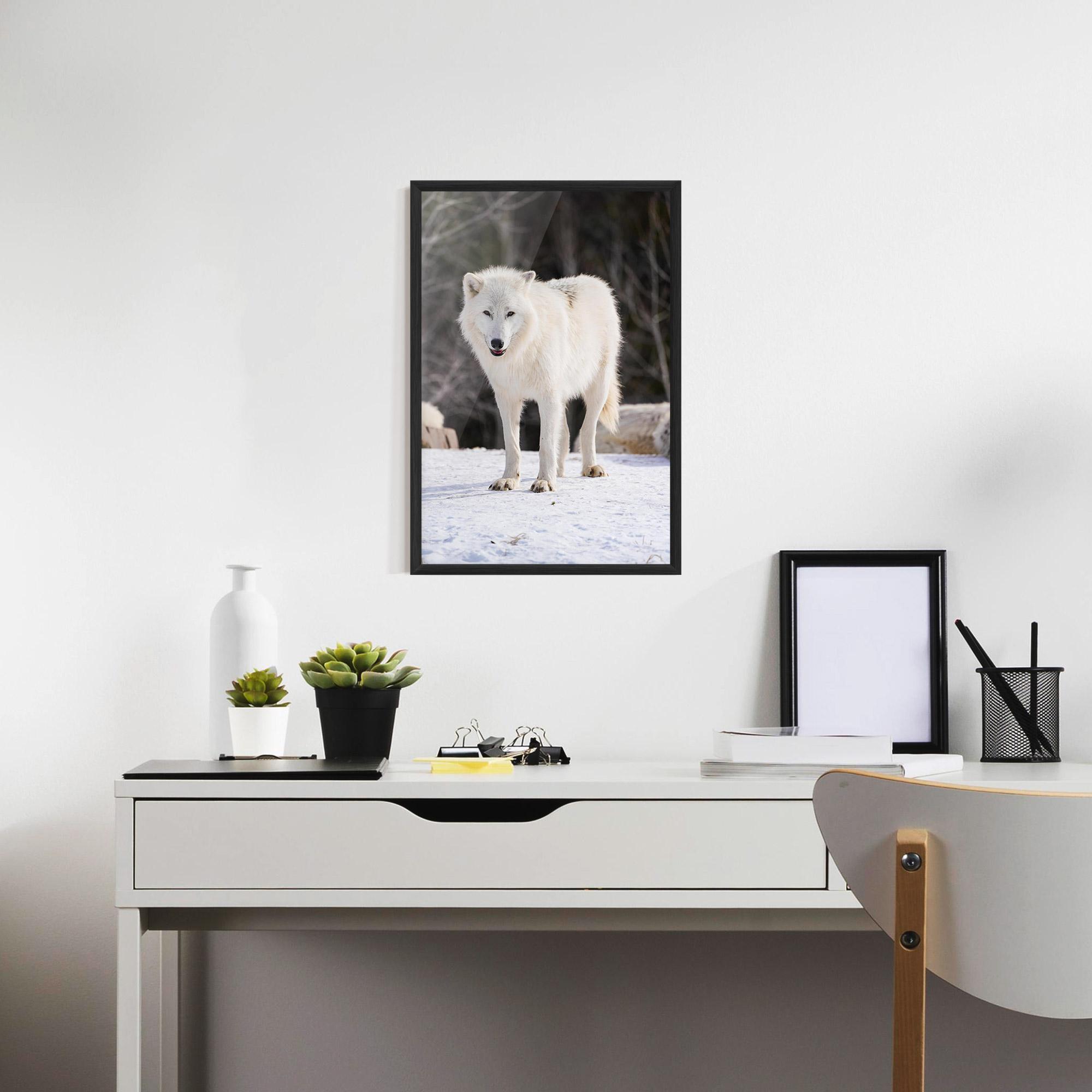 Poster Înrămat Beautiful White Wolf mockup 7