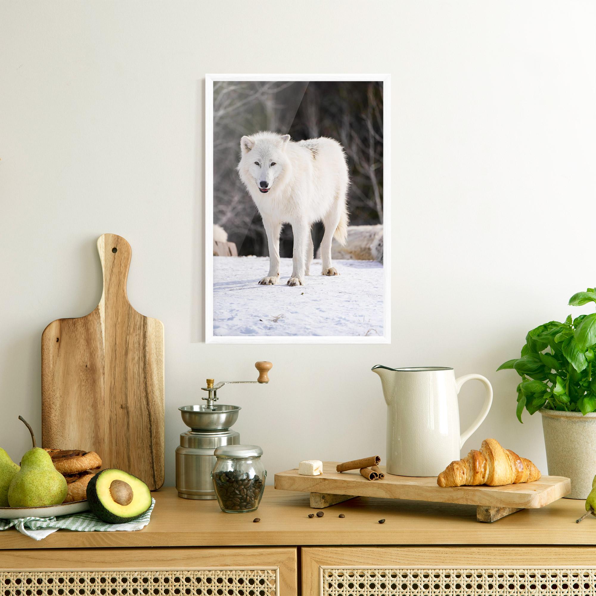 Poster Înrămat Beautiful White Wolf mockup 8