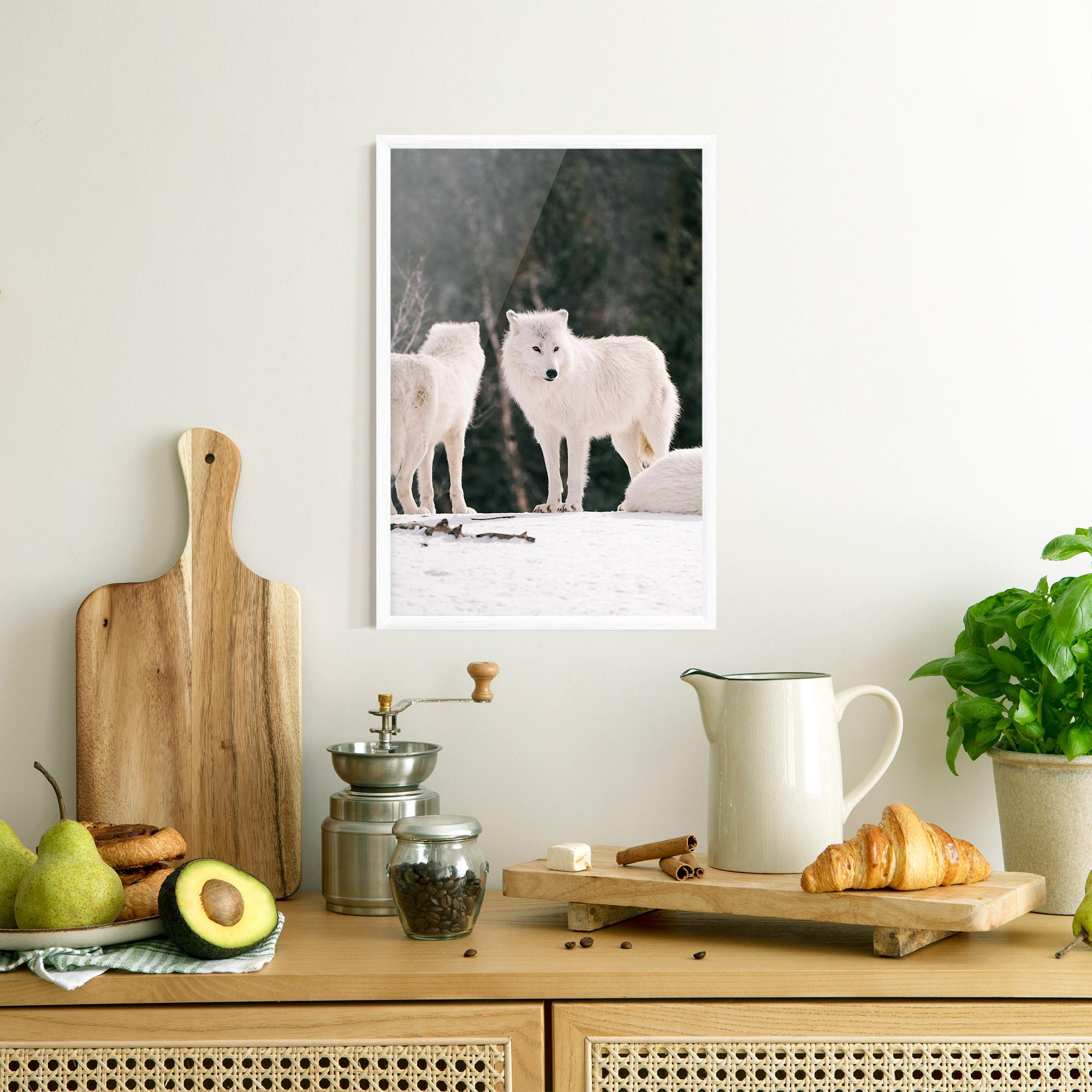 Poster Înrămat White Wolf Waiting mockup 8