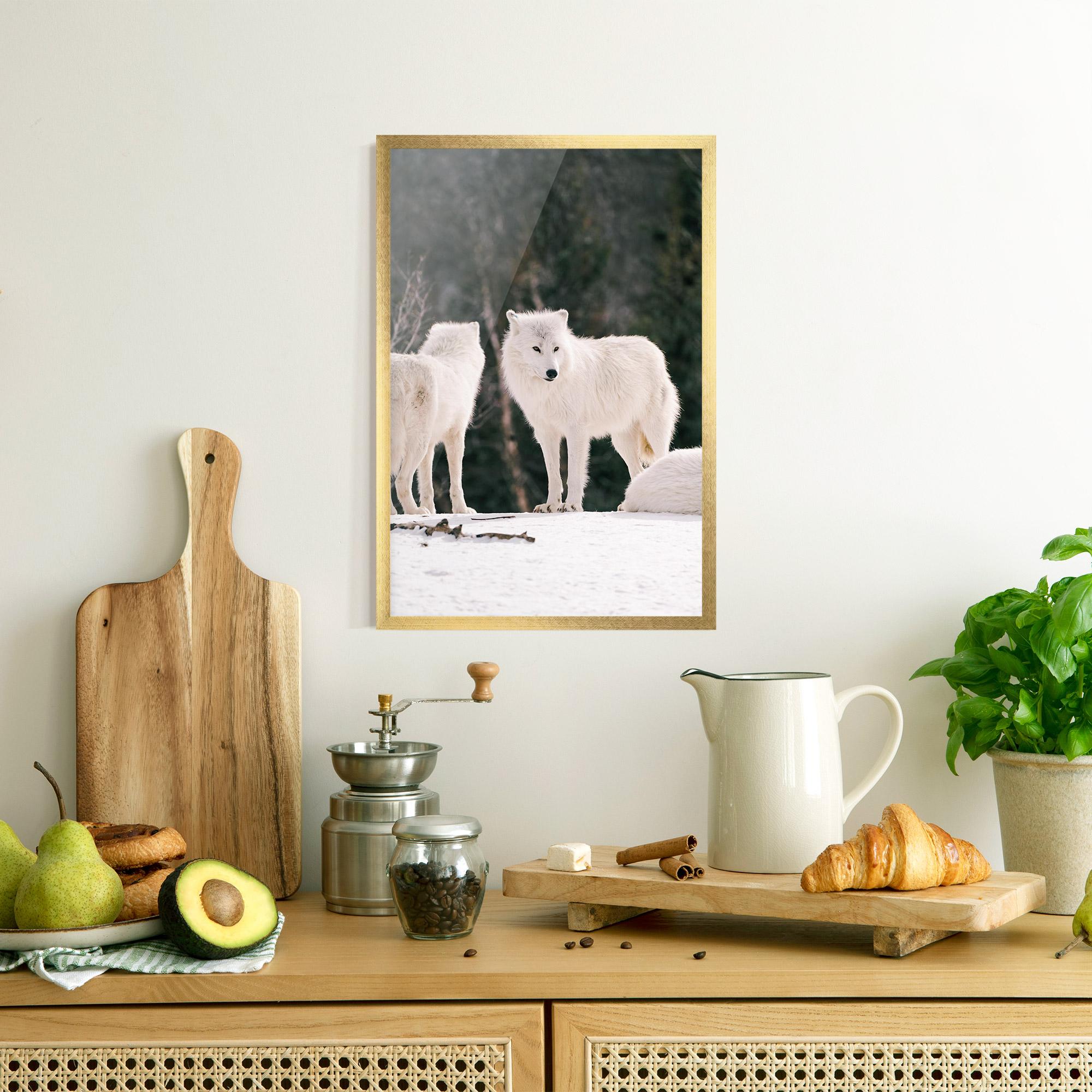 Poster Înrămat White Wolf Waiting mockup 8