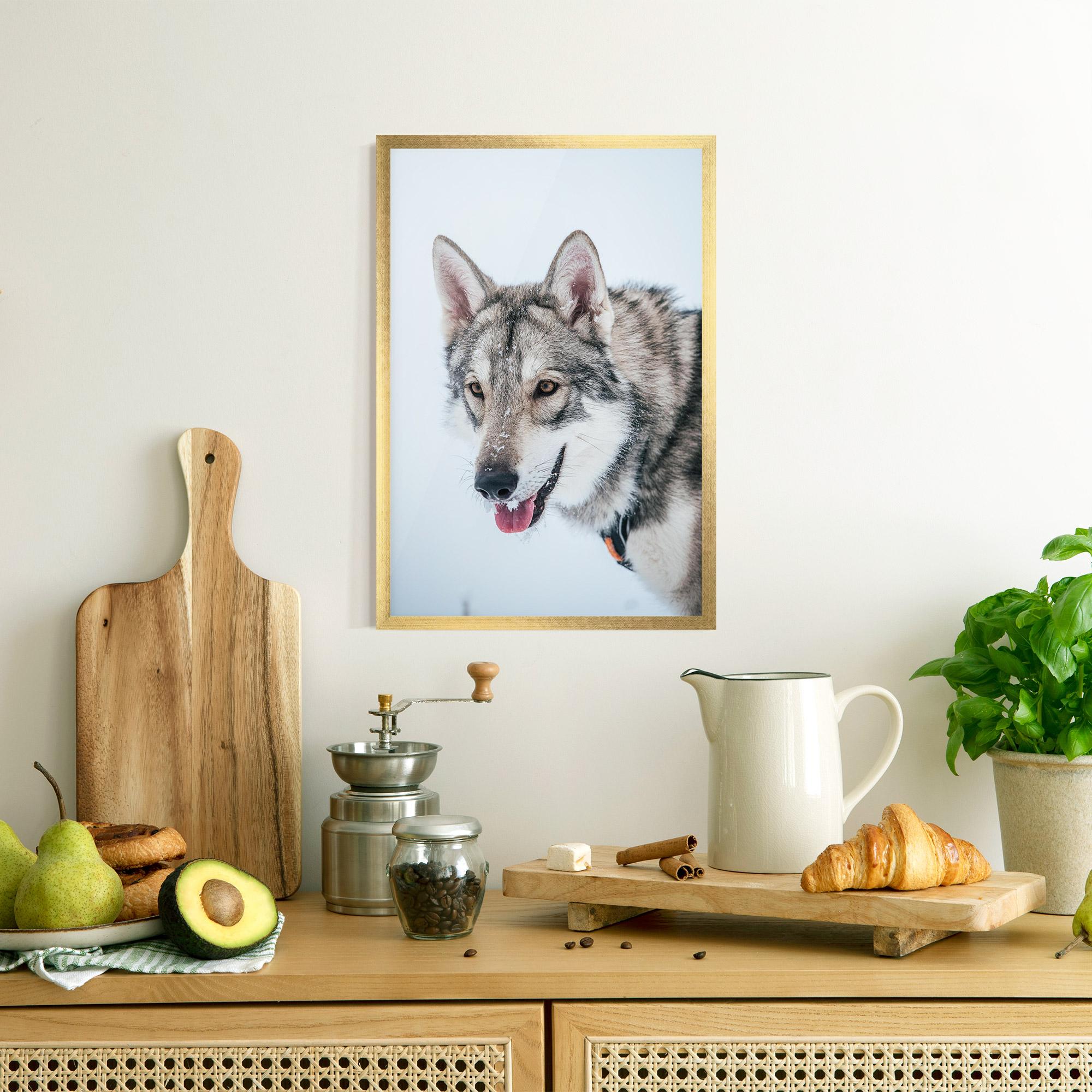 Poster Înrămat Wolf Head mockup 8