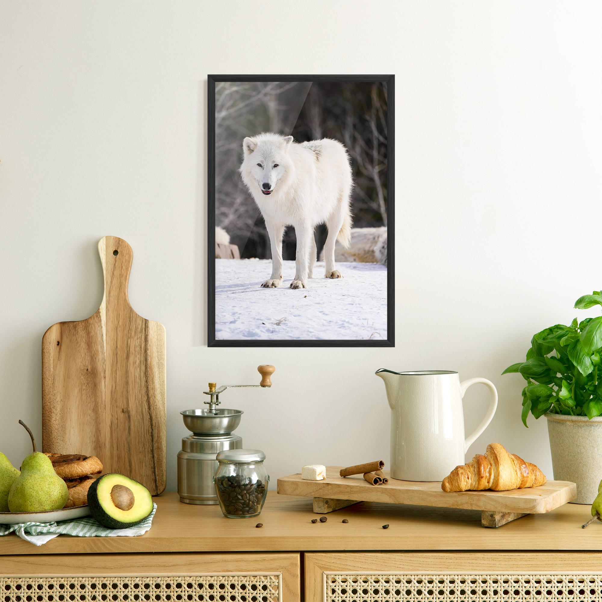 Poster Înrămat Beautiful White Wolf mockup 8