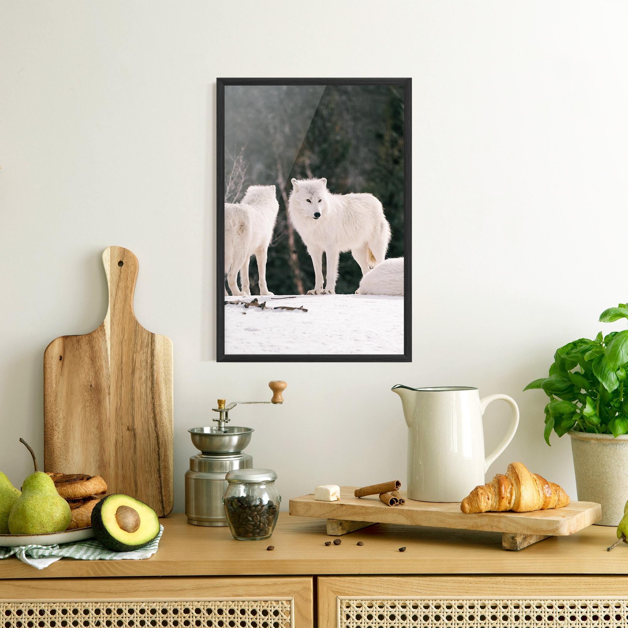 Poster Înrămat White Wolf Waiting mockup 8