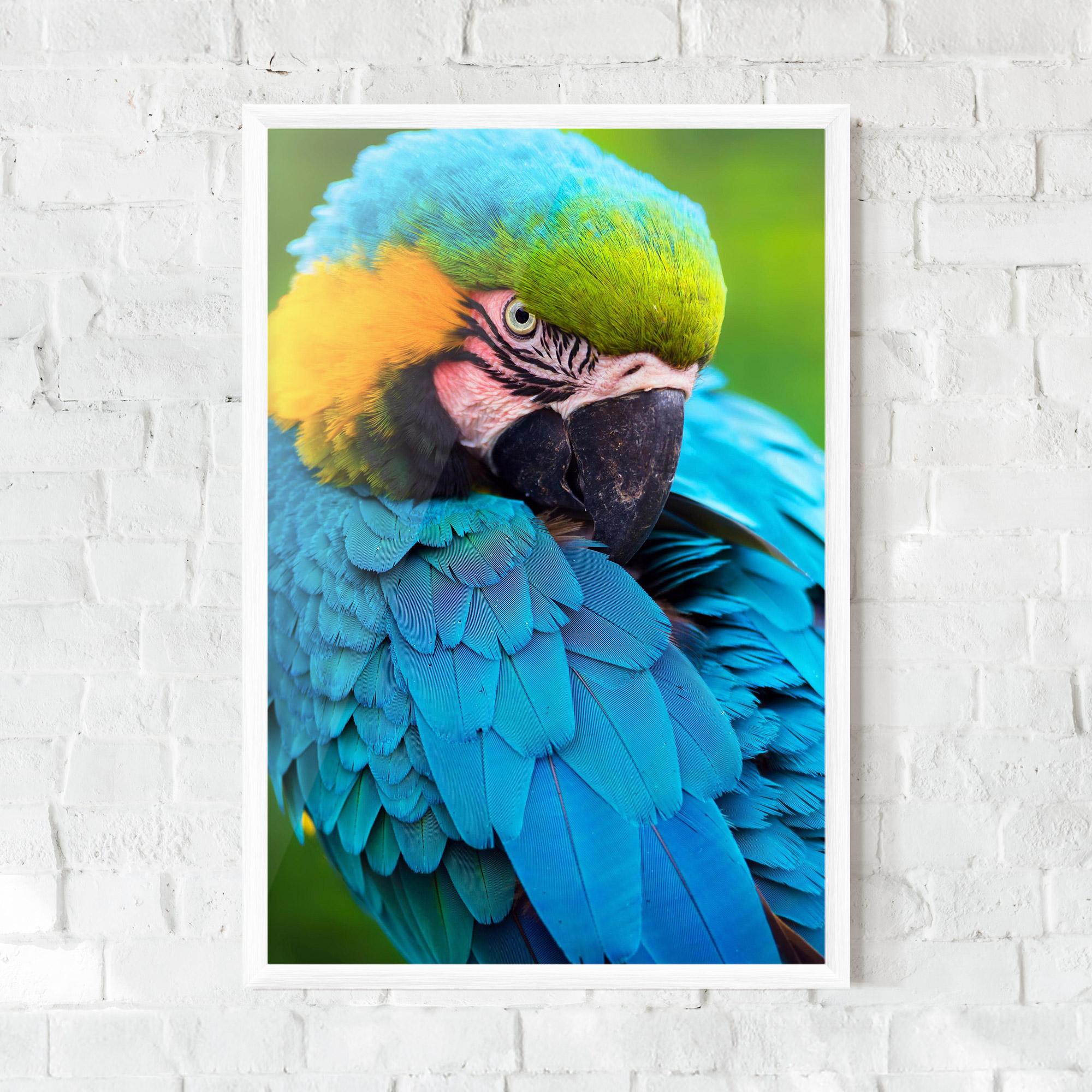 Poster Înrămat Blue Parrot mockup 0