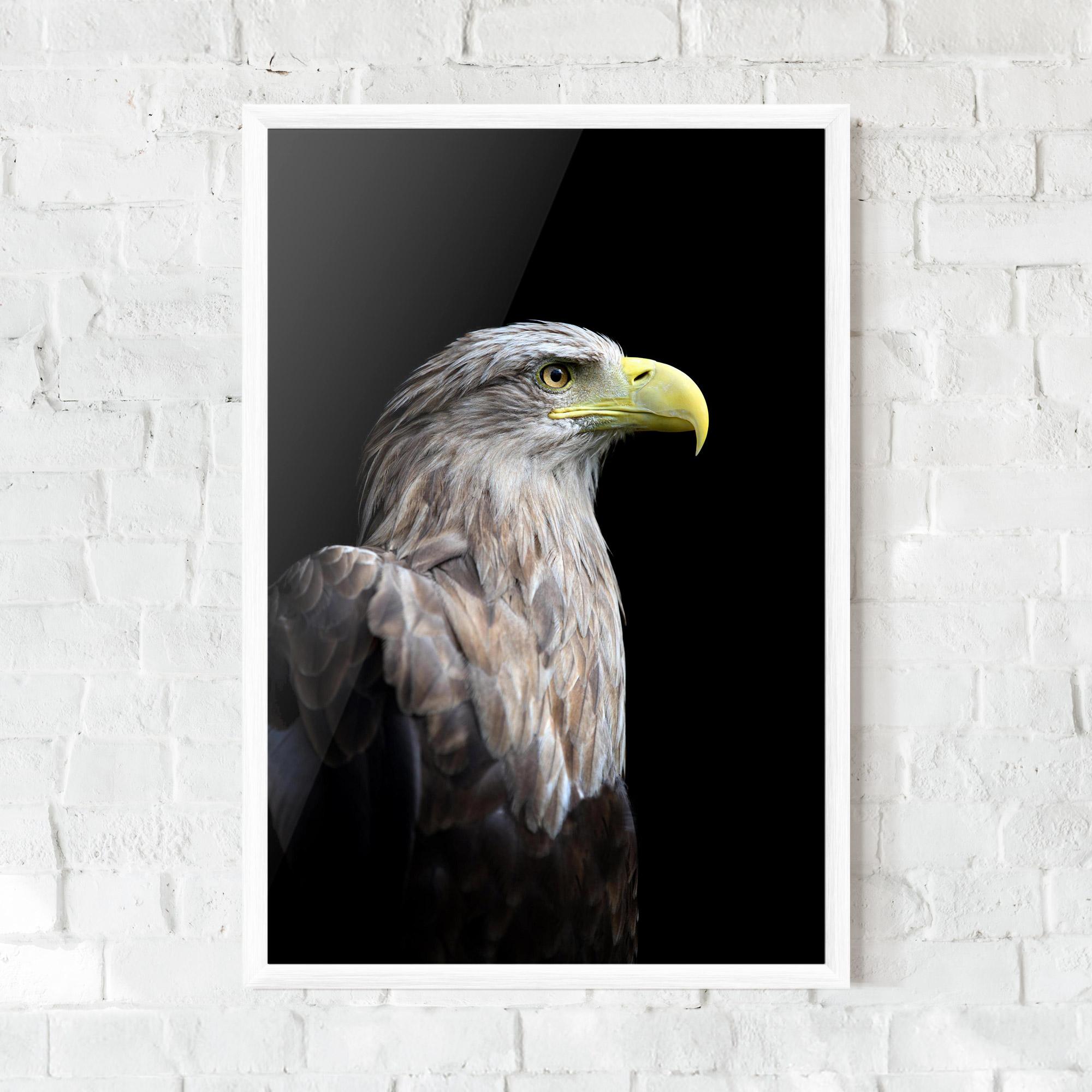 Poster Înrămat Close Up Eagle mockup 0