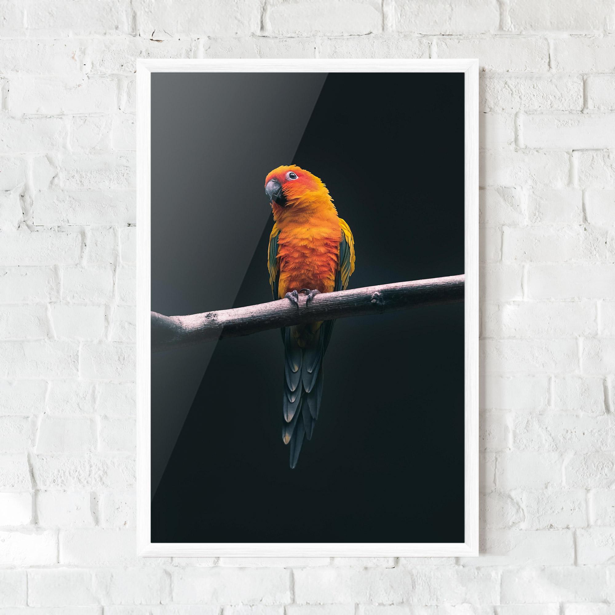 Poster Înrămat Fire Parrot mockup 0