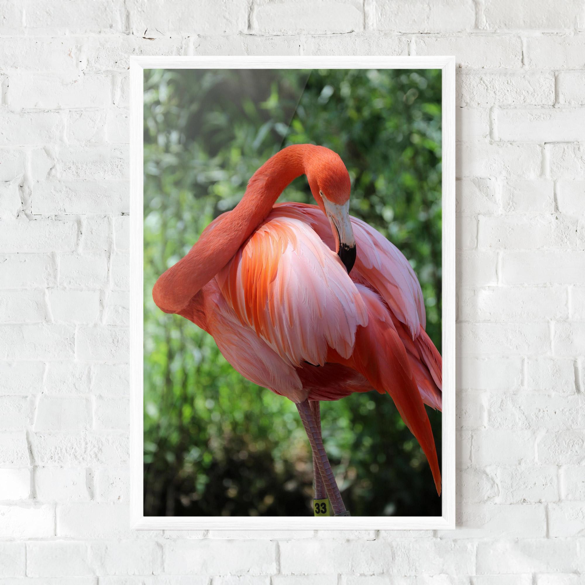 Poster Înrămat Red Flamingo mockup 0