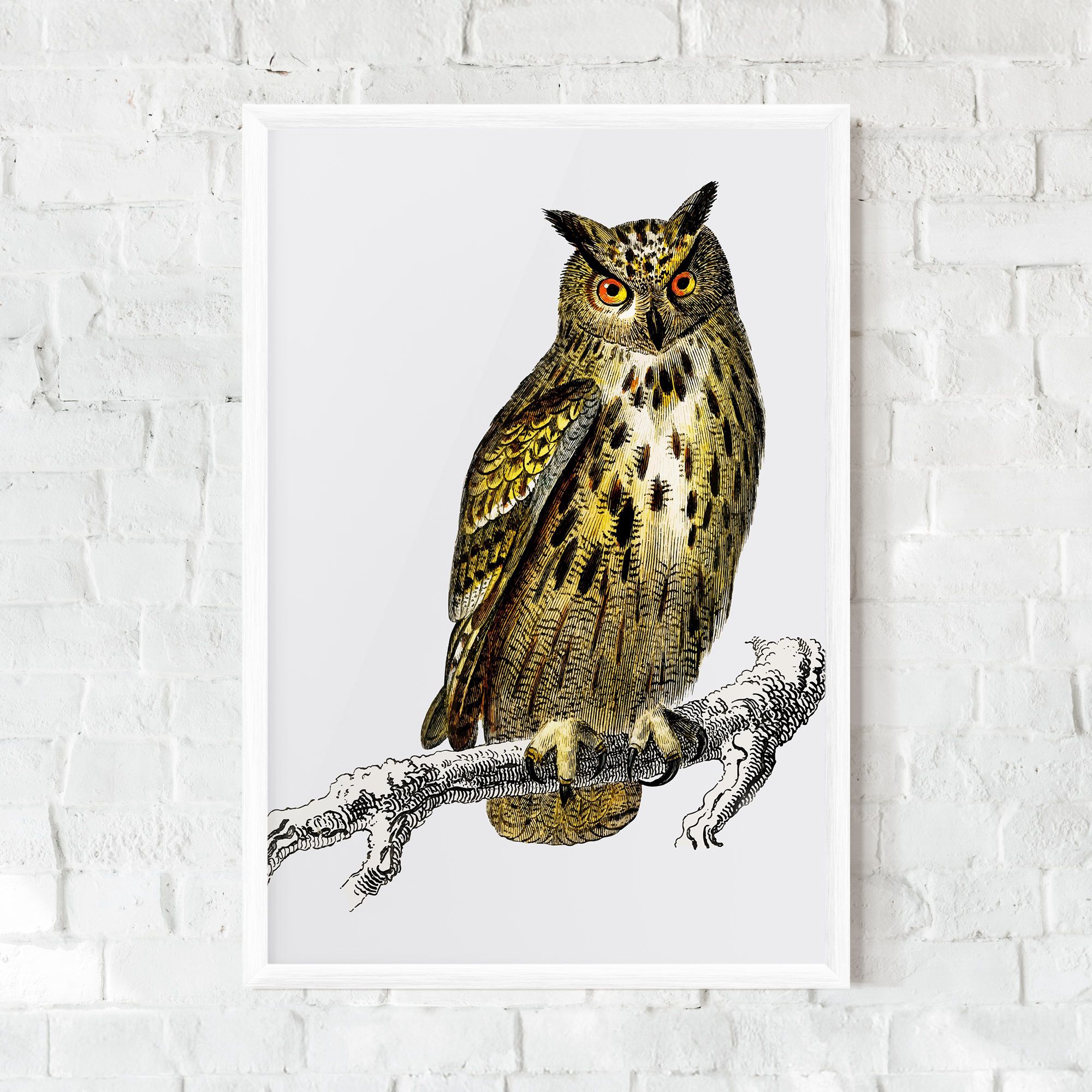 Yellow Owl mockup 0