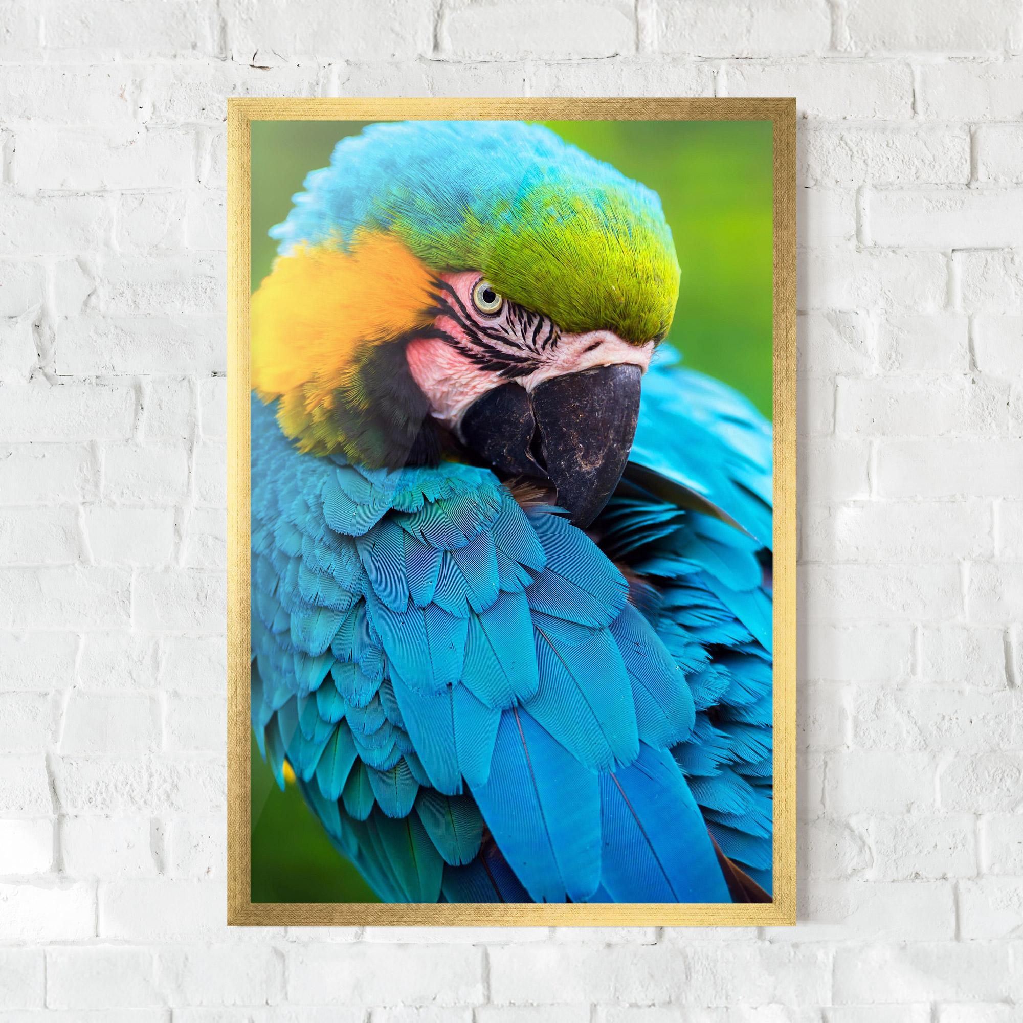 Poster Înrămat Blue Parrot mockup 0