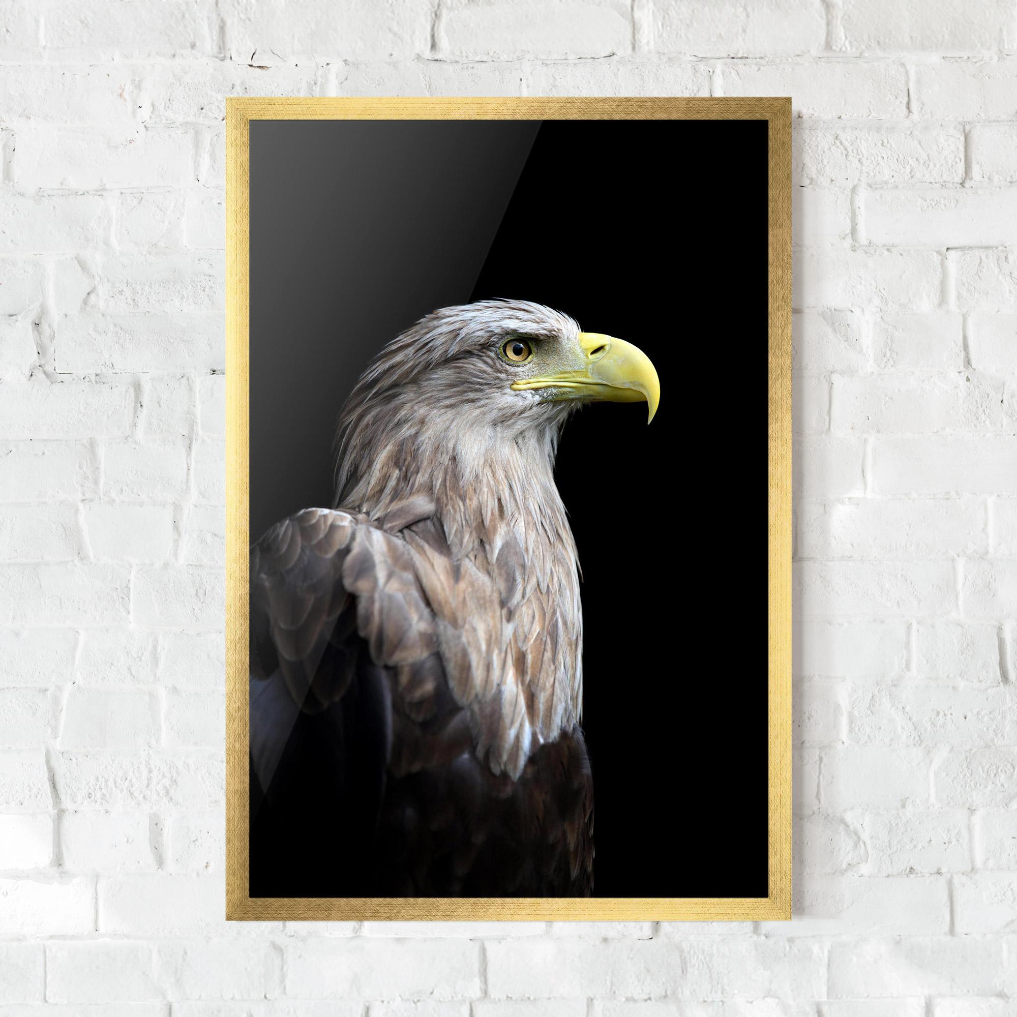 Poster Înrămat Close Up Eagle mockup 0