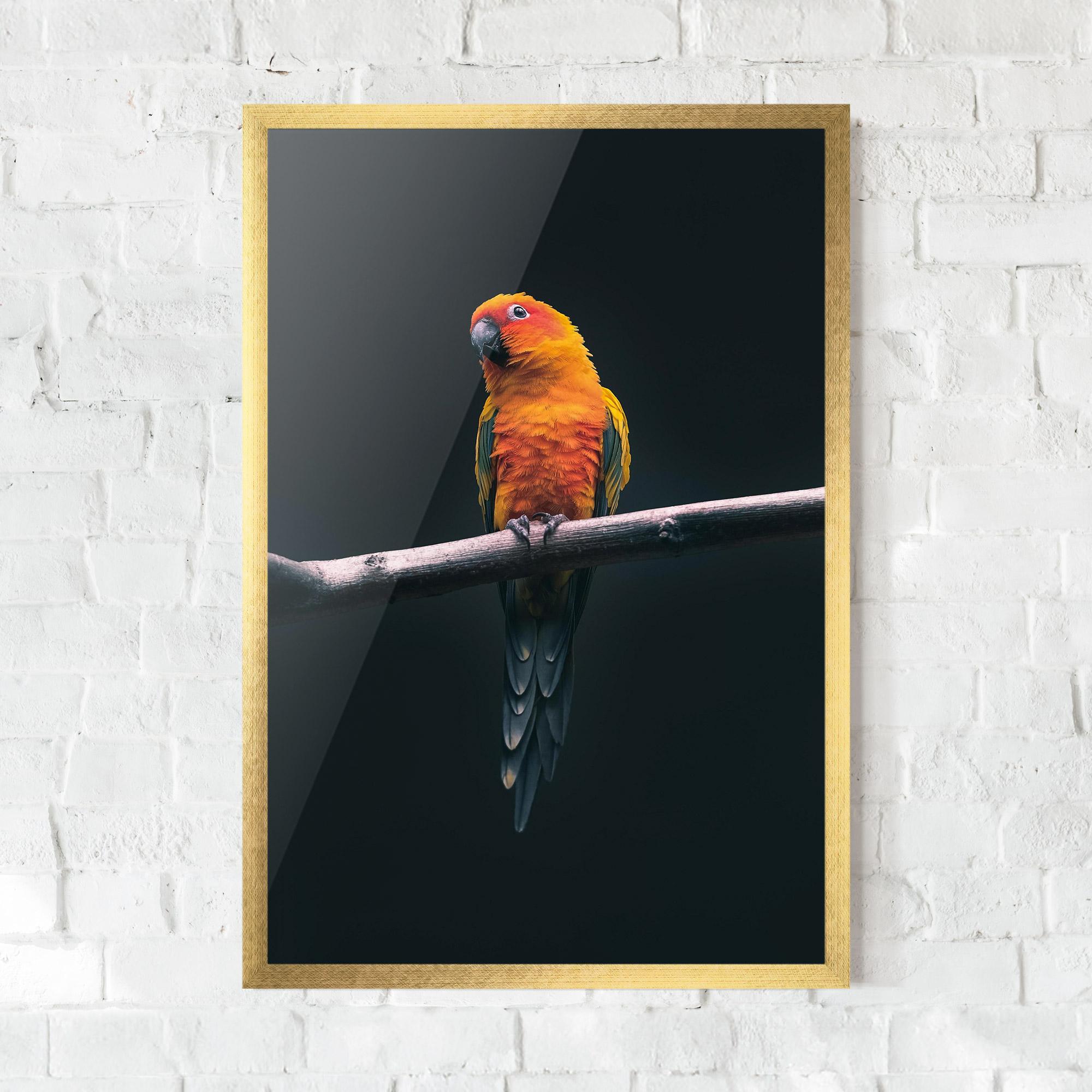 Poster Înrămat Fire Parrot mockup 0
