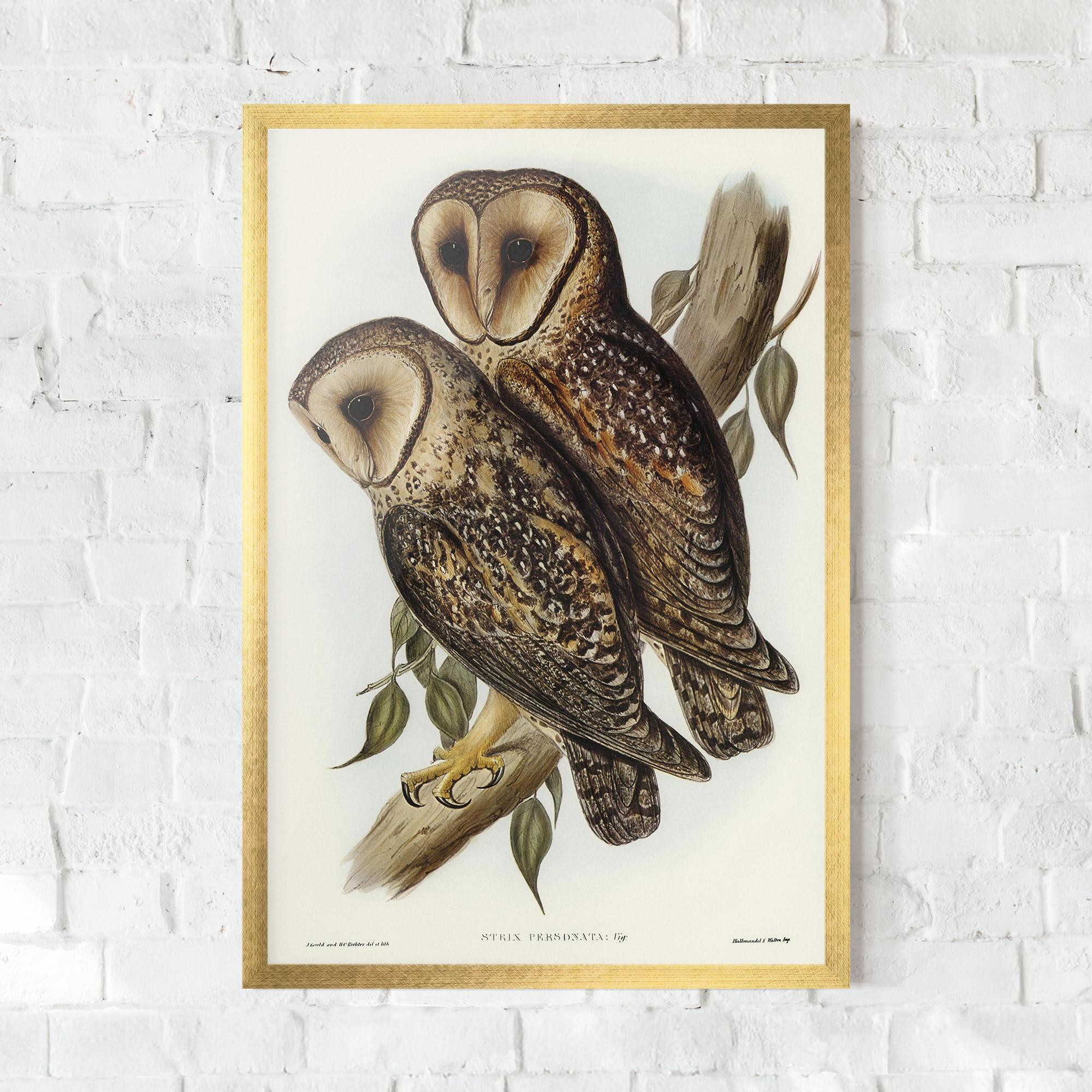 Poster Înrămat Owl Family mockup 0
