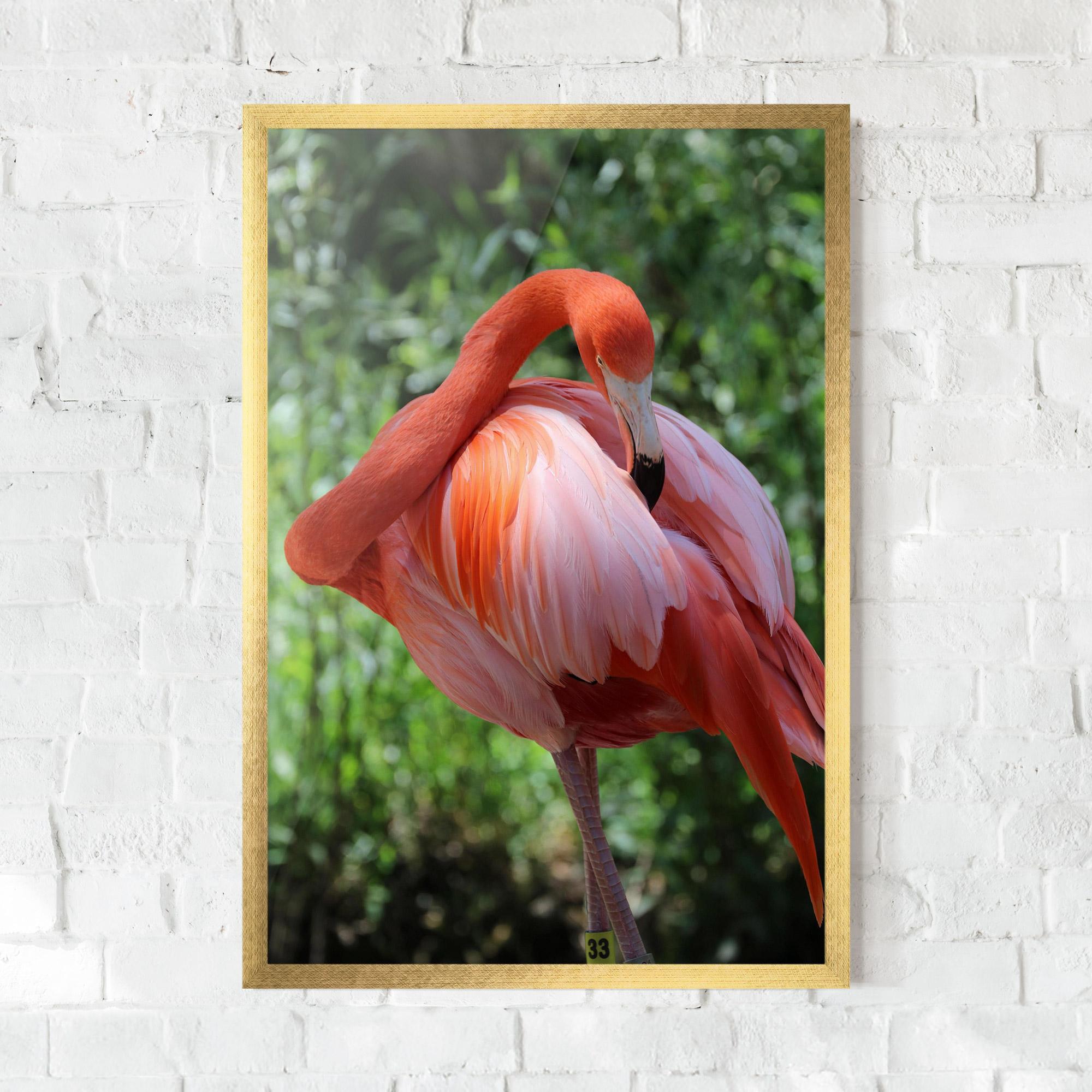 Poster Înrămat Red Flamingo mockup 0
