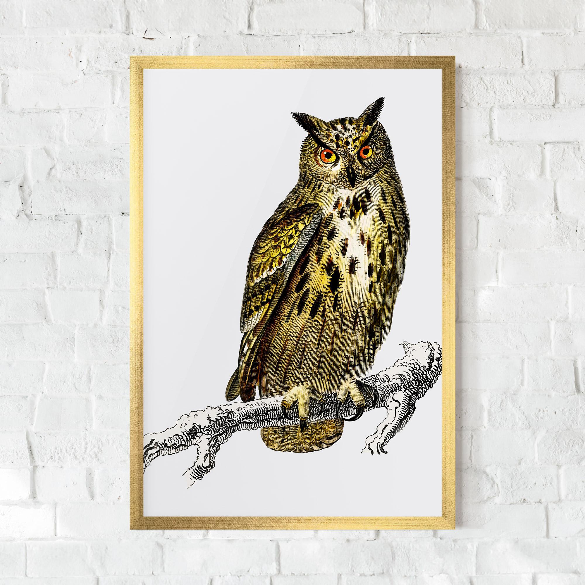 Poster Înrămat Yellow Owl mockup 0