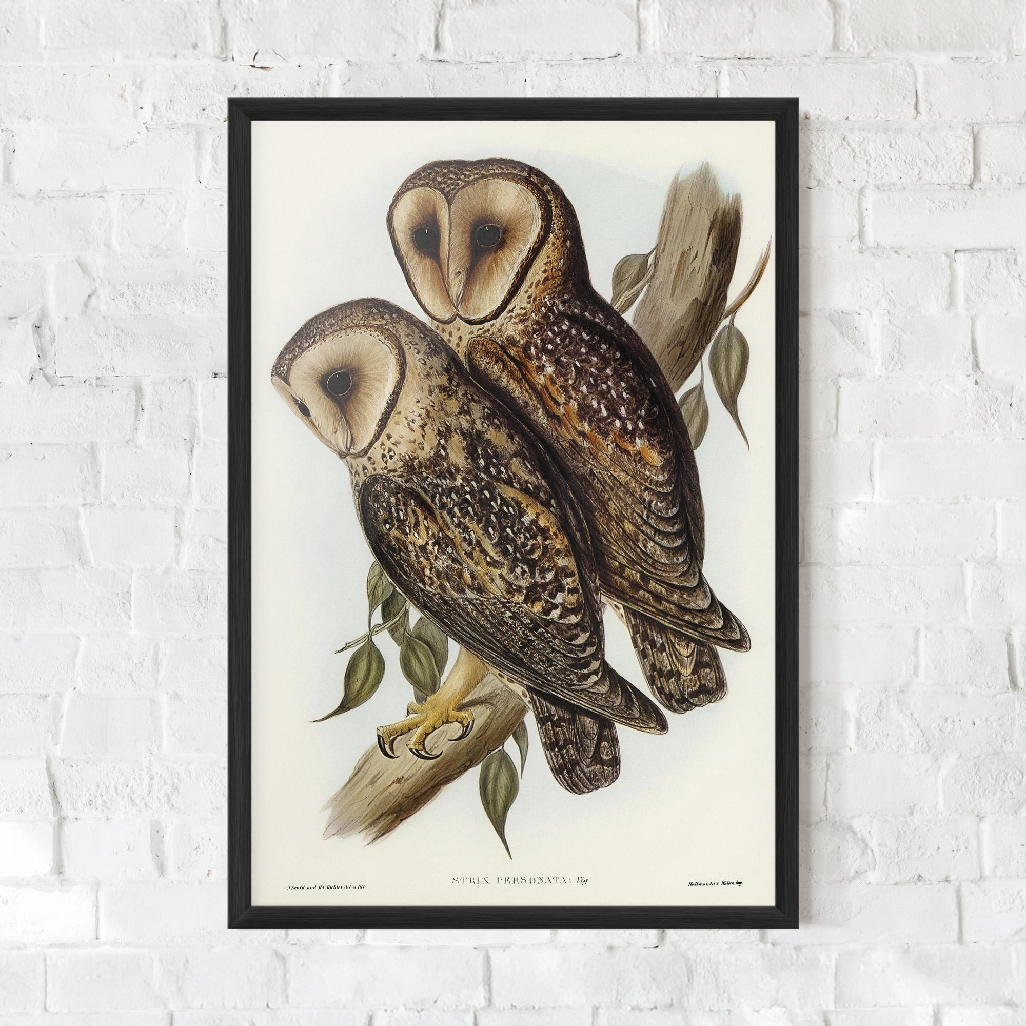 Poster Înrămat Owl Family mockup 0