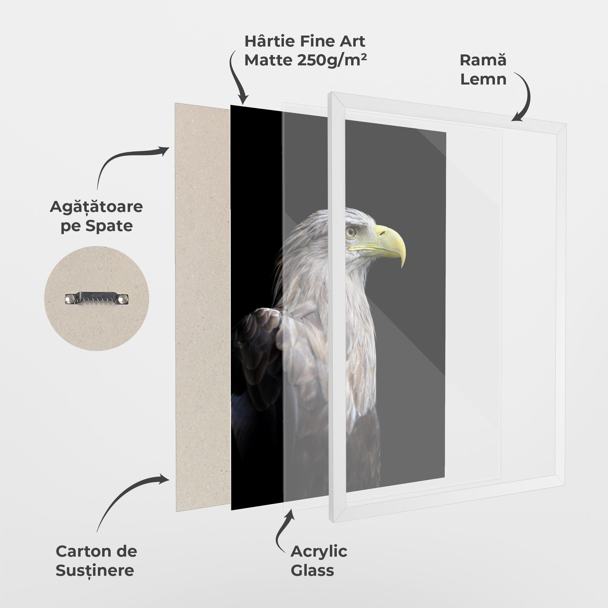 Poster Înrămat Close Up Eagle mockup 1