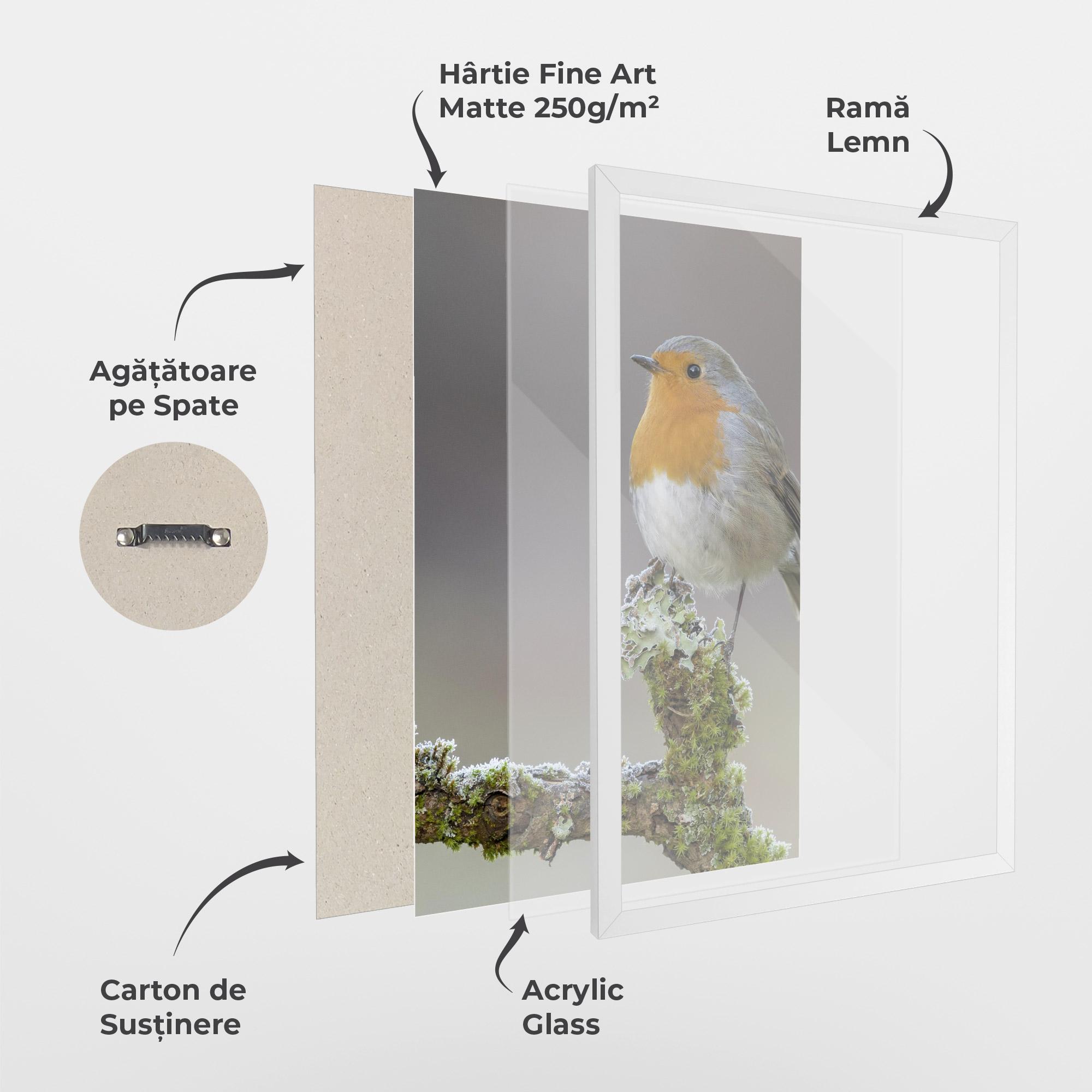 Poster Înrămat Erithacus Bird mockup 1