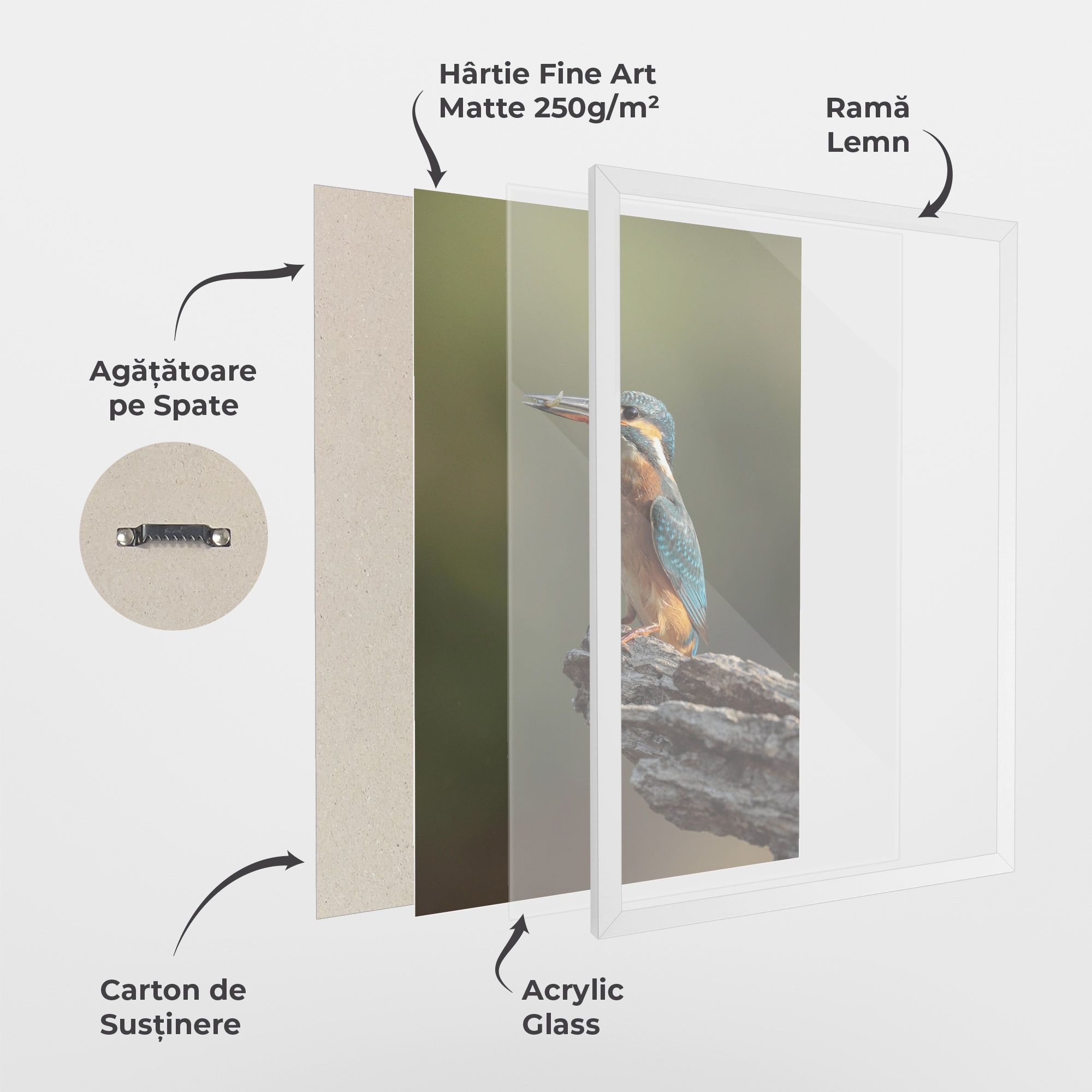 Female Kingfisher mockup 1