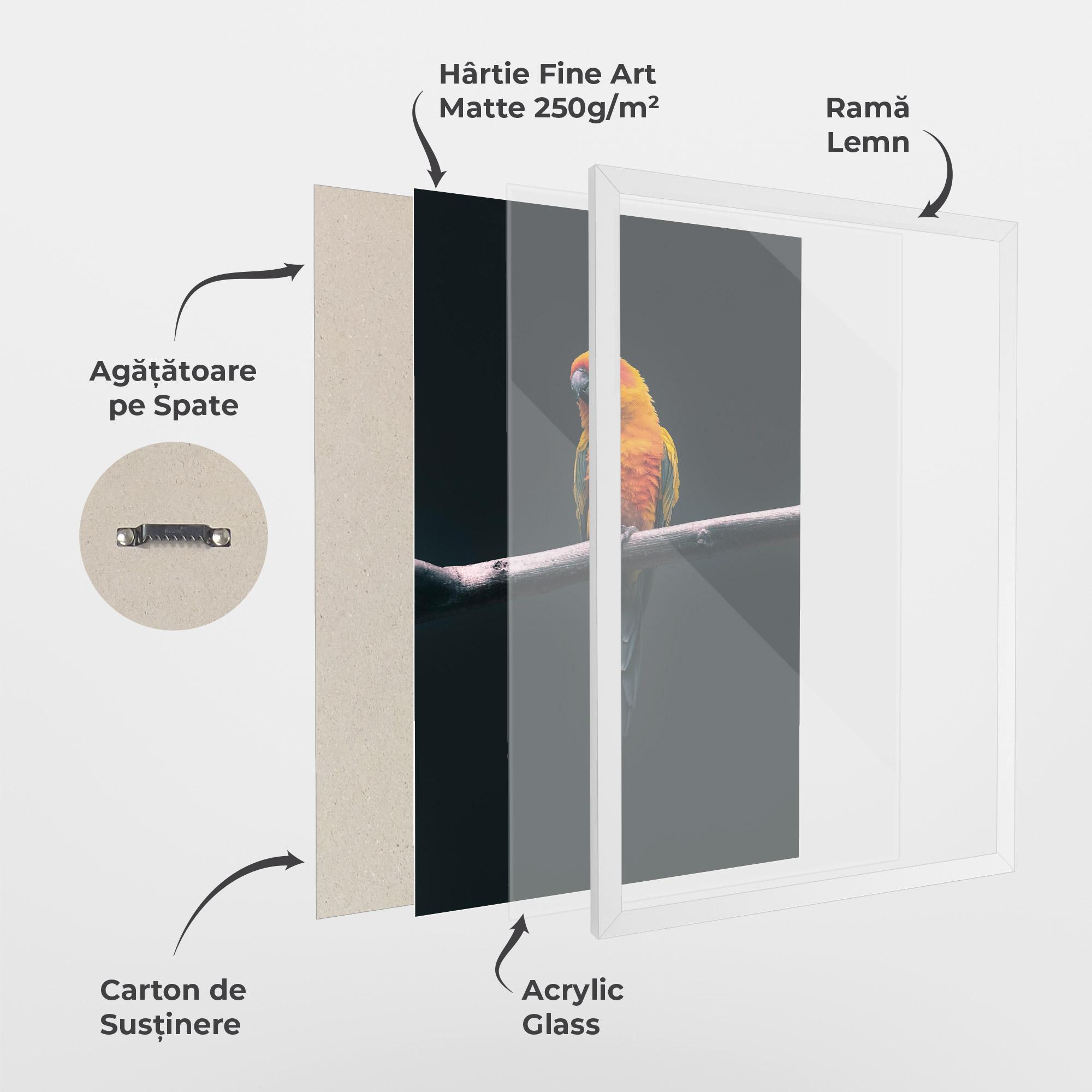 Poster Înrămat Fire Parrot mockup 1