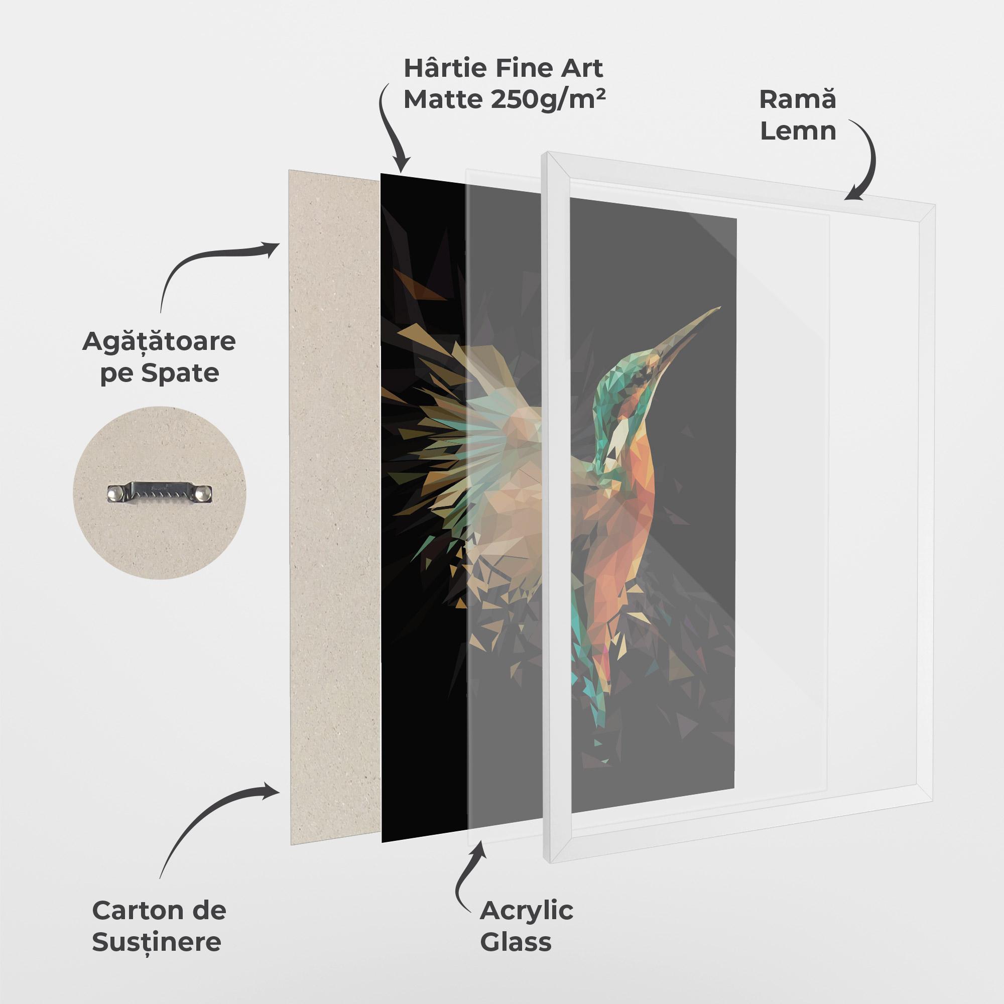 Poster Înrămat Hummingbird Splash mockup 1