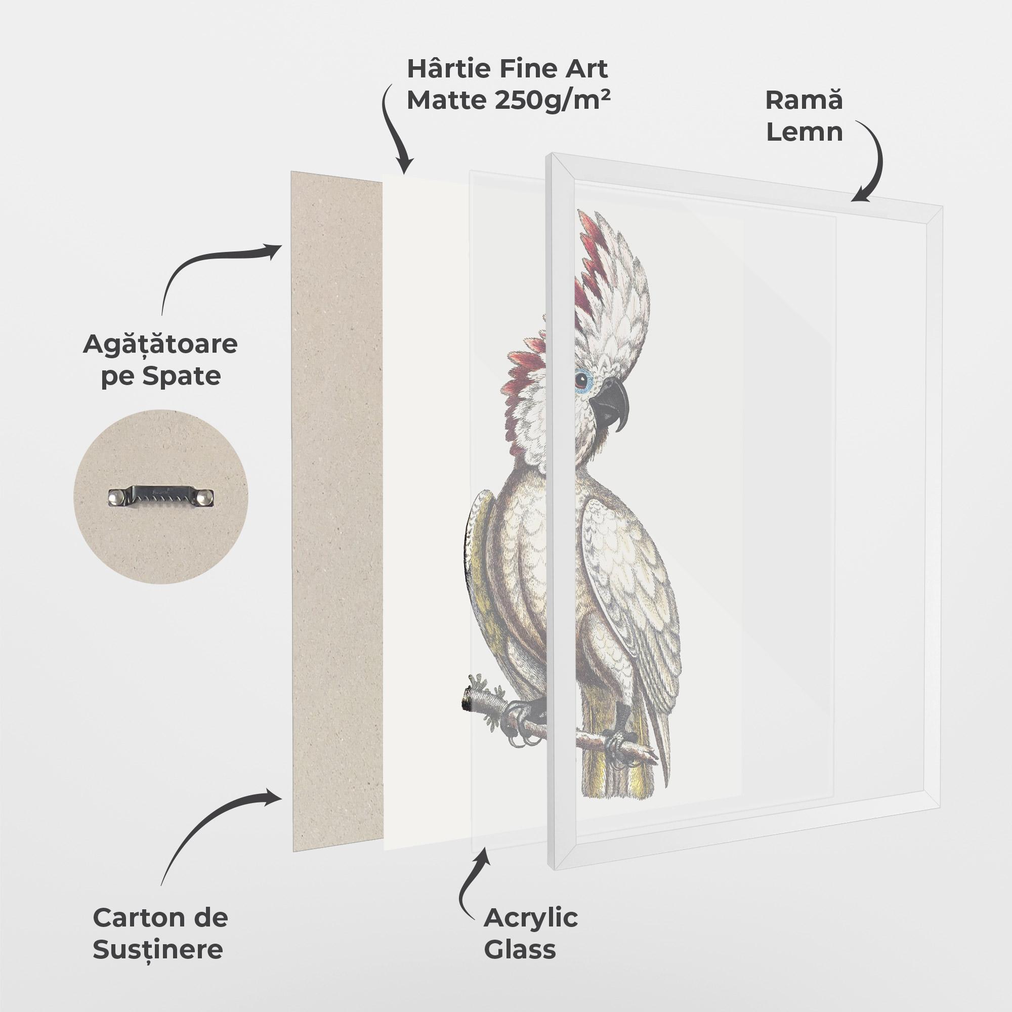 Poster Înrămat Interesting Bird mockup 1