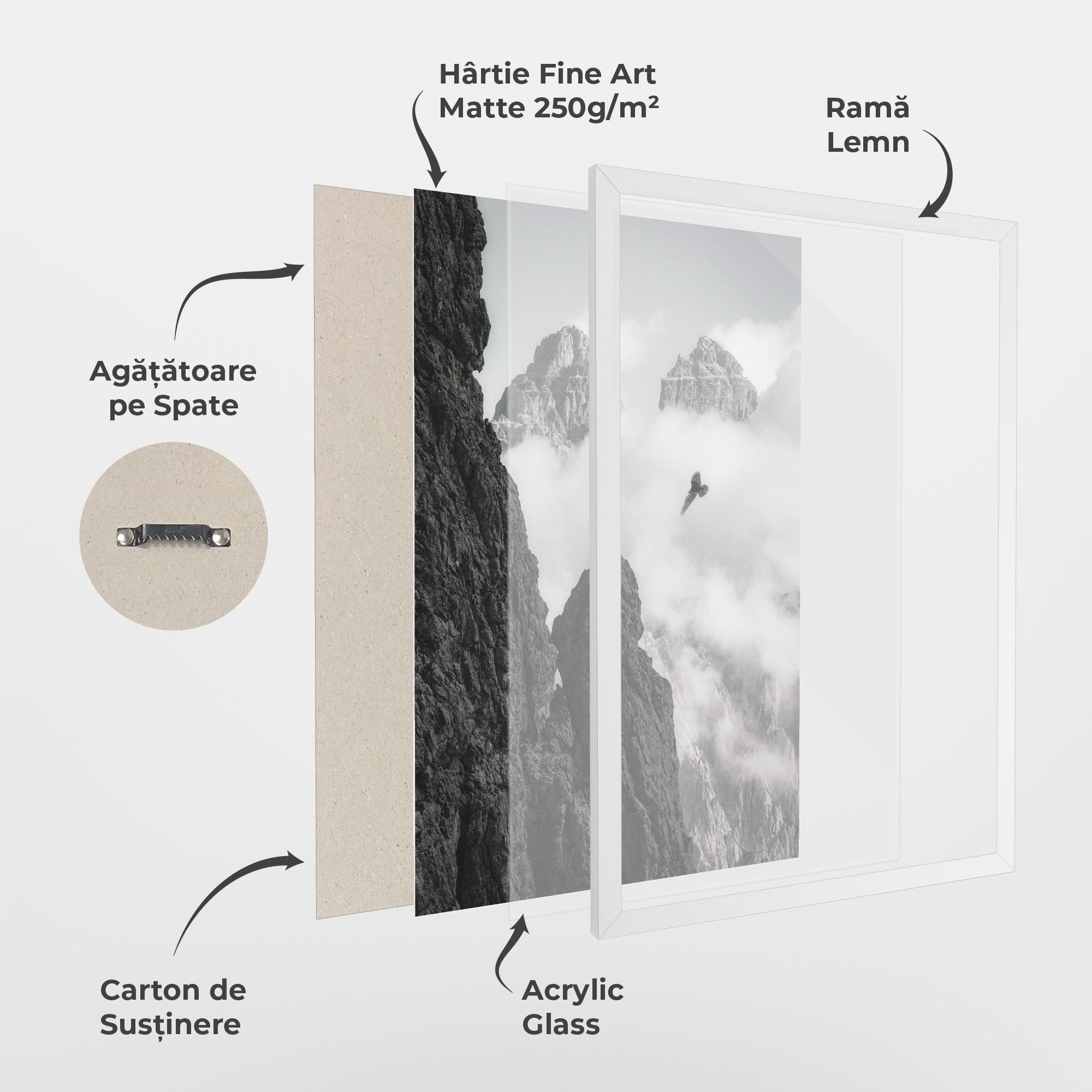 Poster Înrămat Mountain Eagle mockup 1