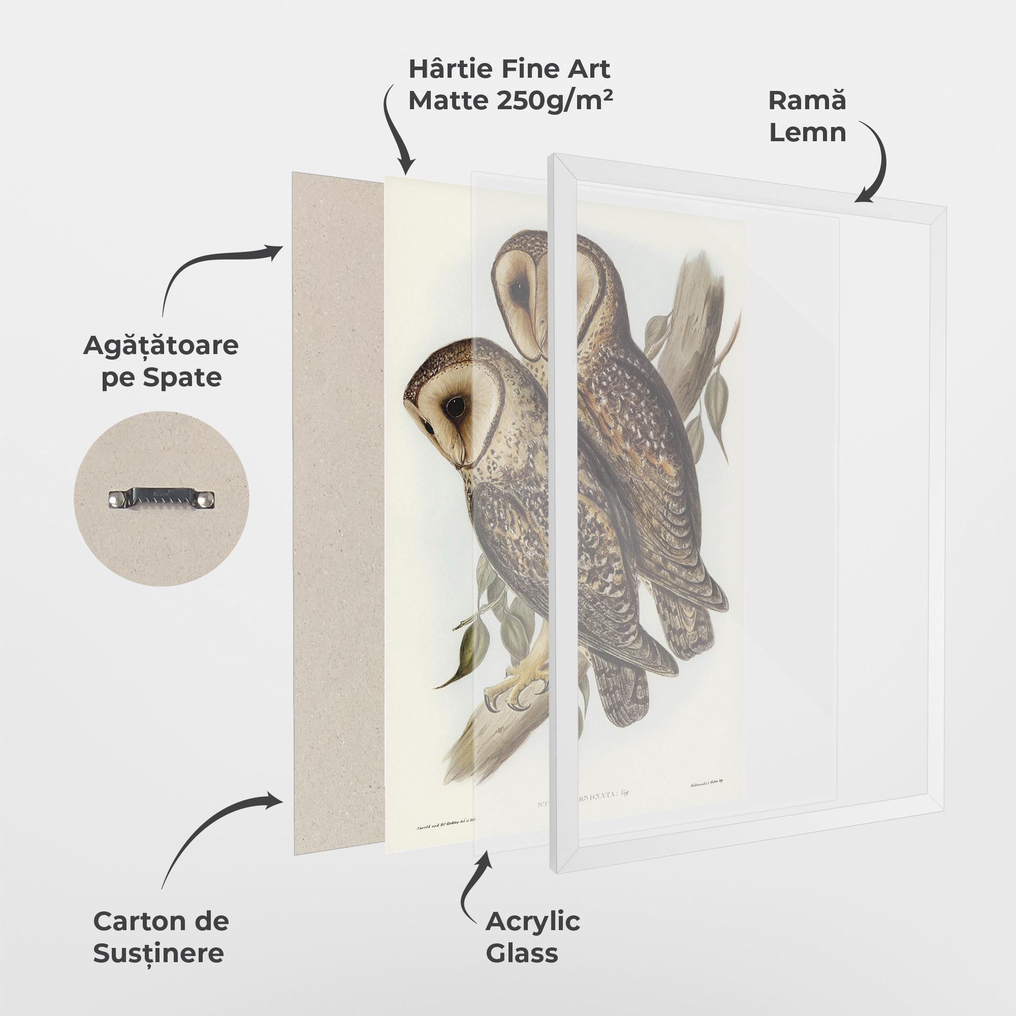 Poster Înrămat Owl Family mockup 1