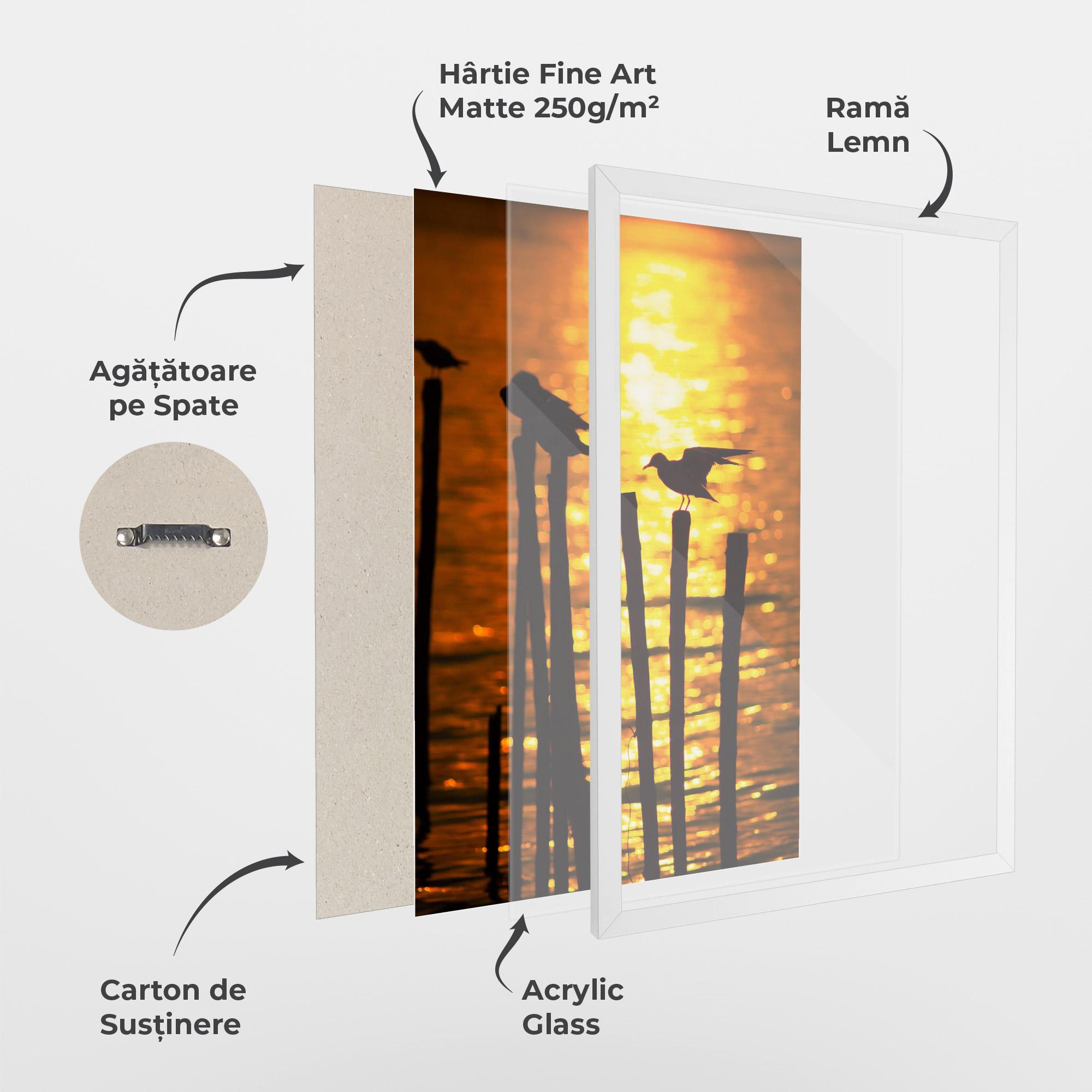 Poster Înrămat Silhouettes Birds mockup 1