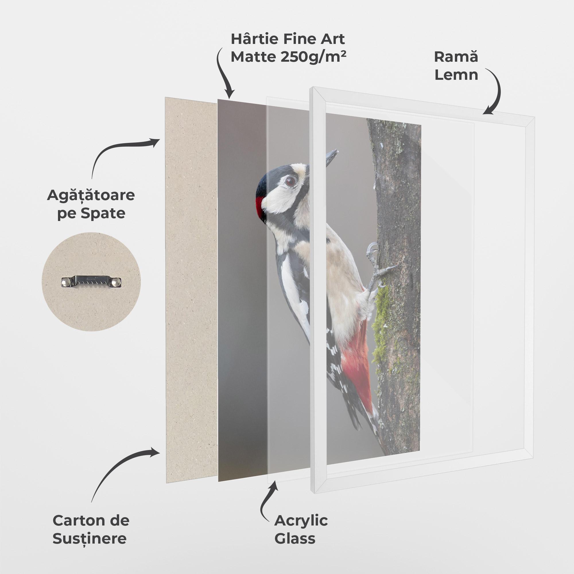 Poster Înrămat Woodpecker mockup 1