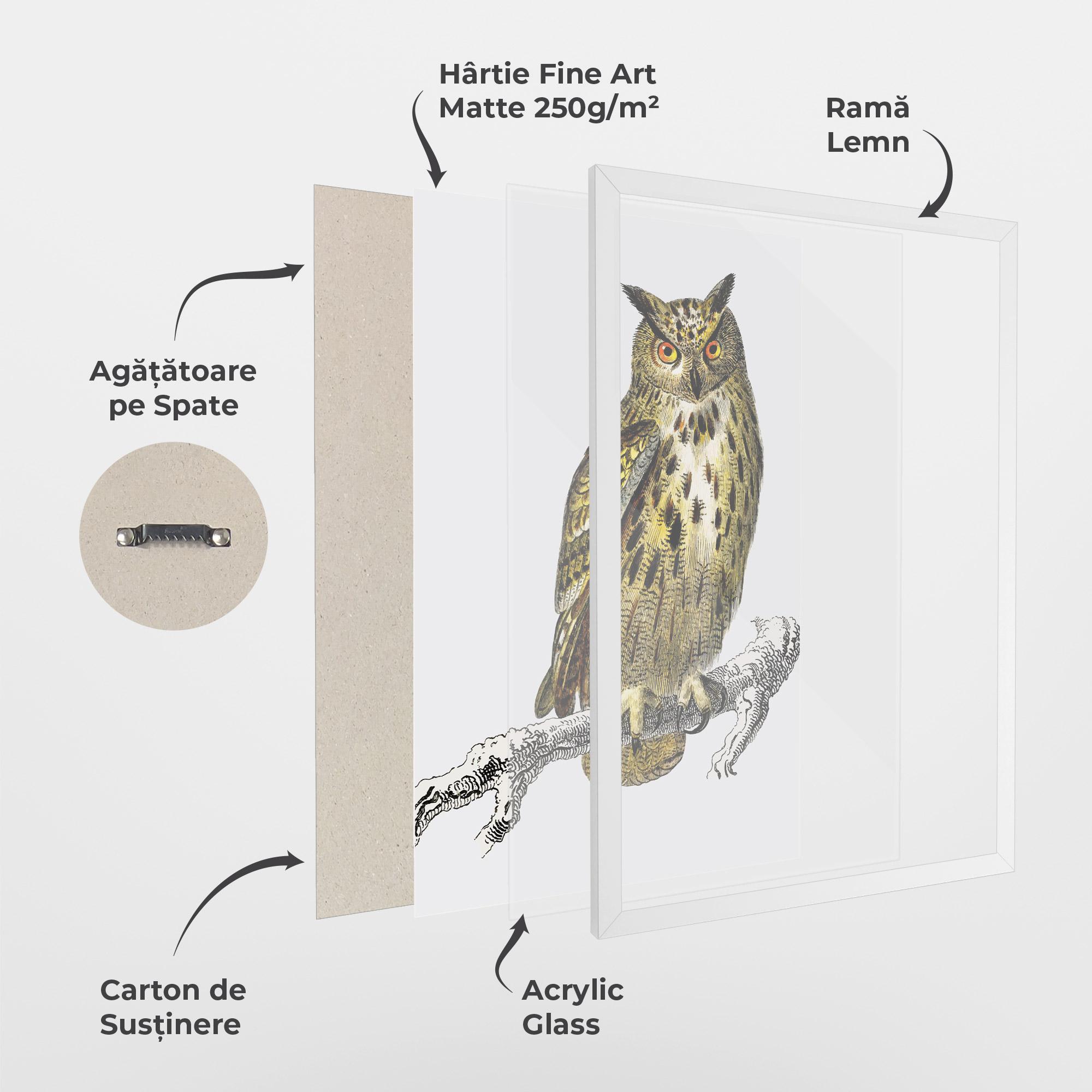 Poster Înrămat Yellow Owl mockup 1