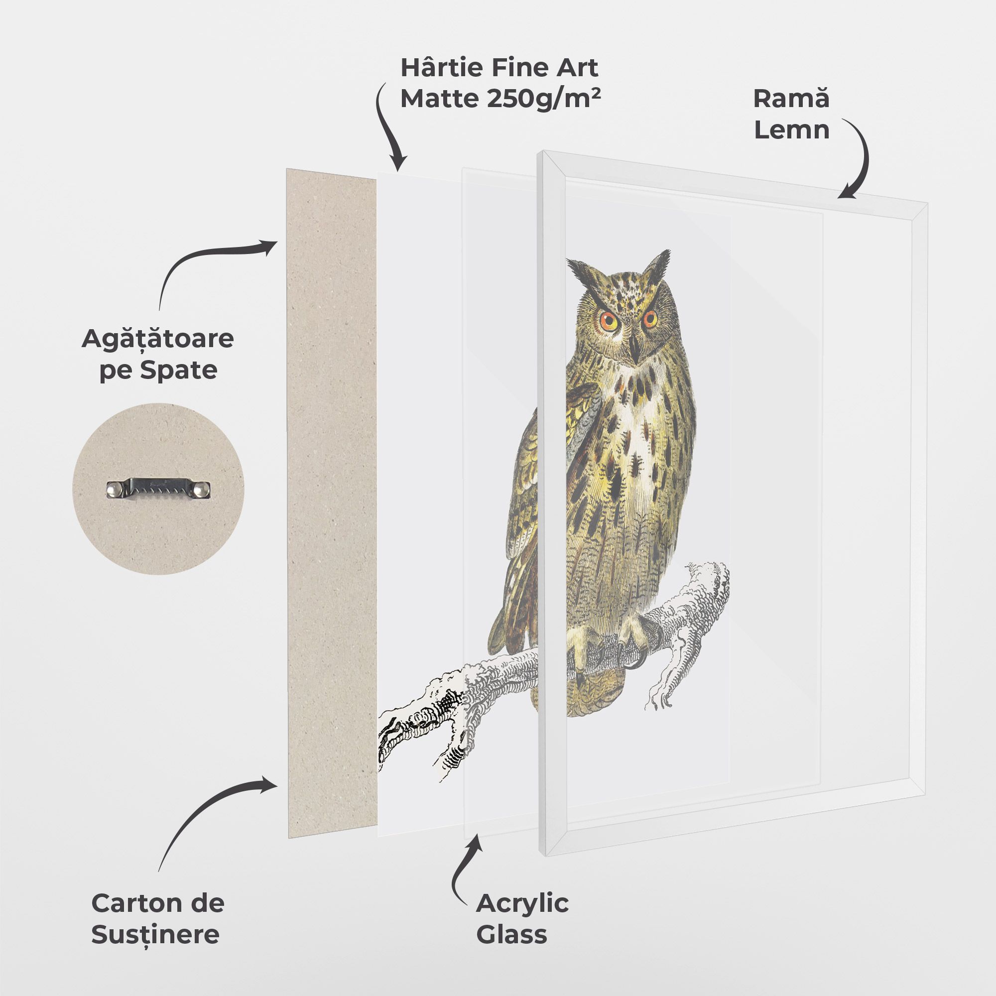Yellow Owl mockup 1