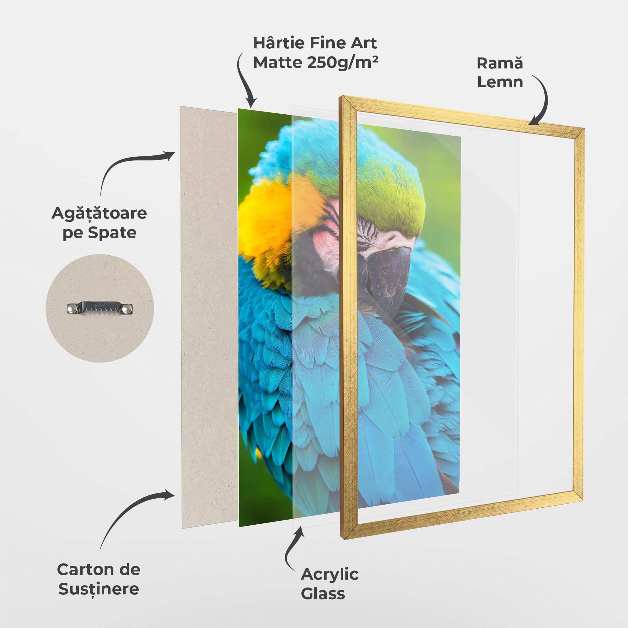 Poster Înrămat Blue Parrot mockup 1