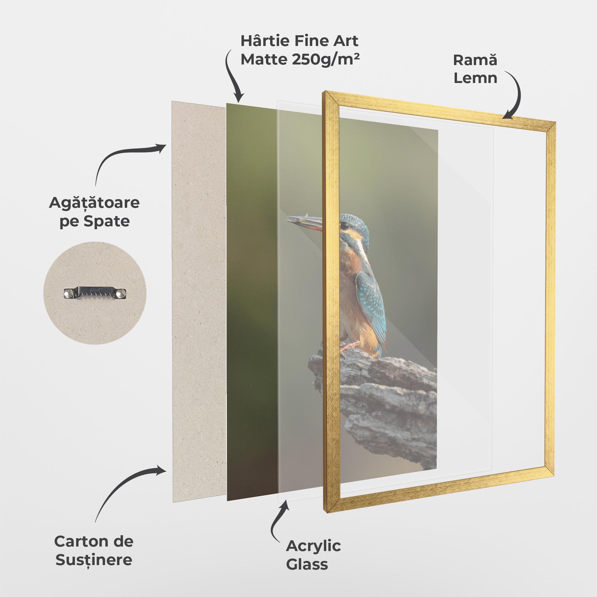 Poster Înrămat Female Kingfisher mockup 1