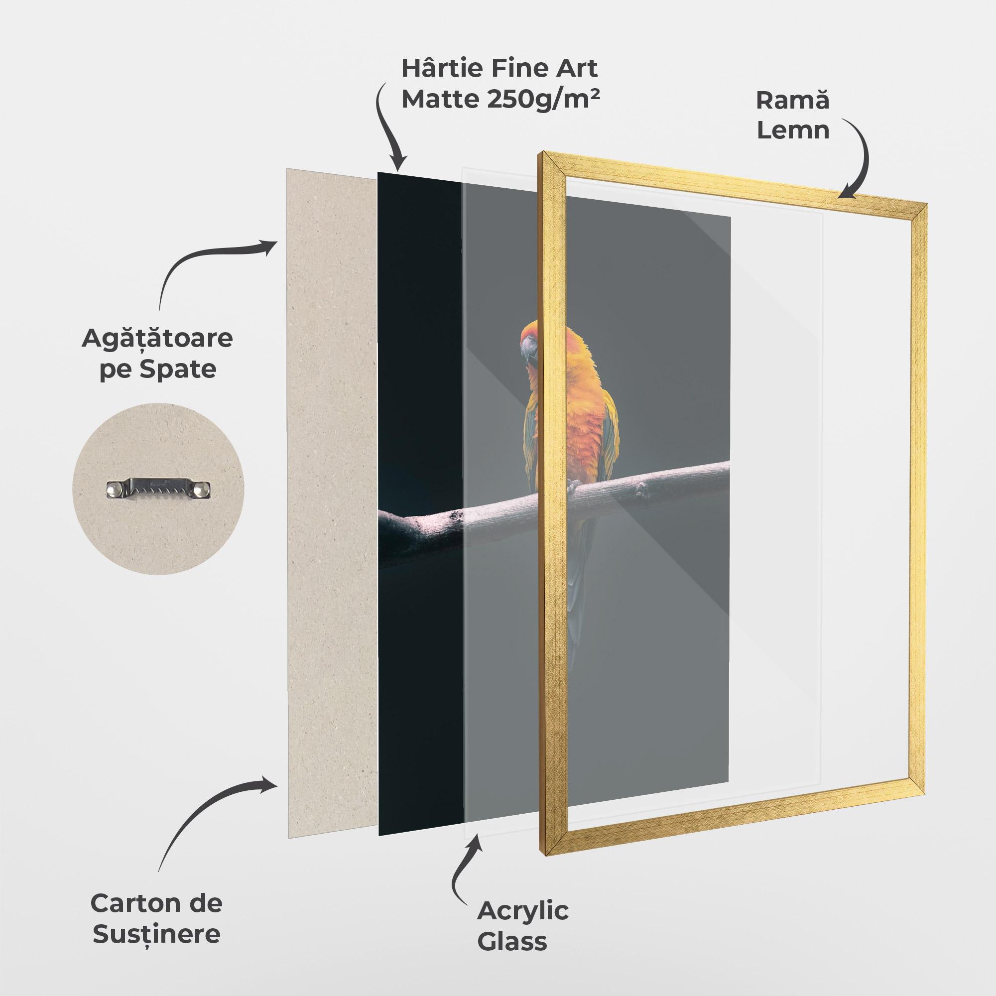 Poster Înrămat Fire Parrot mockup 1